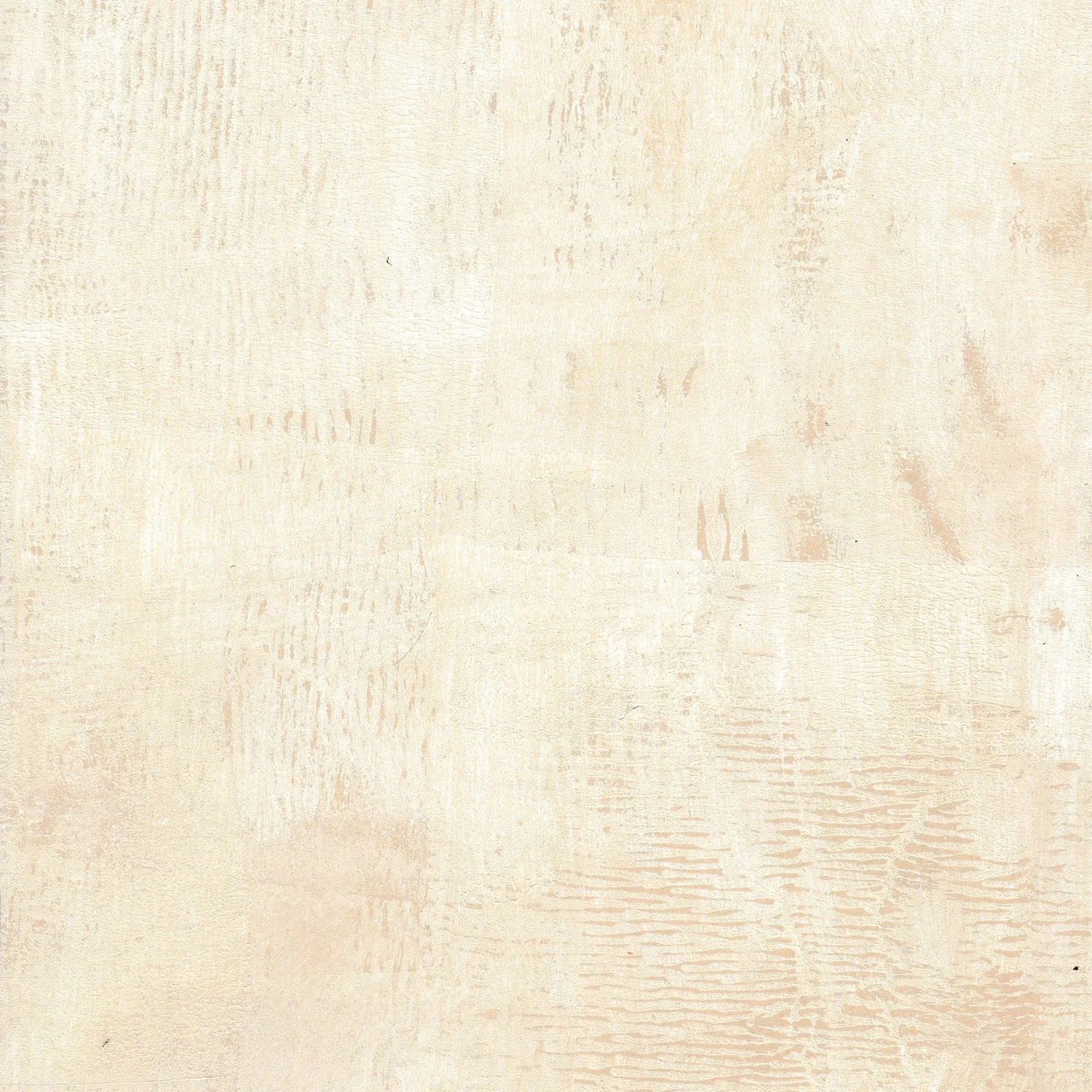 bark-birch.jpg