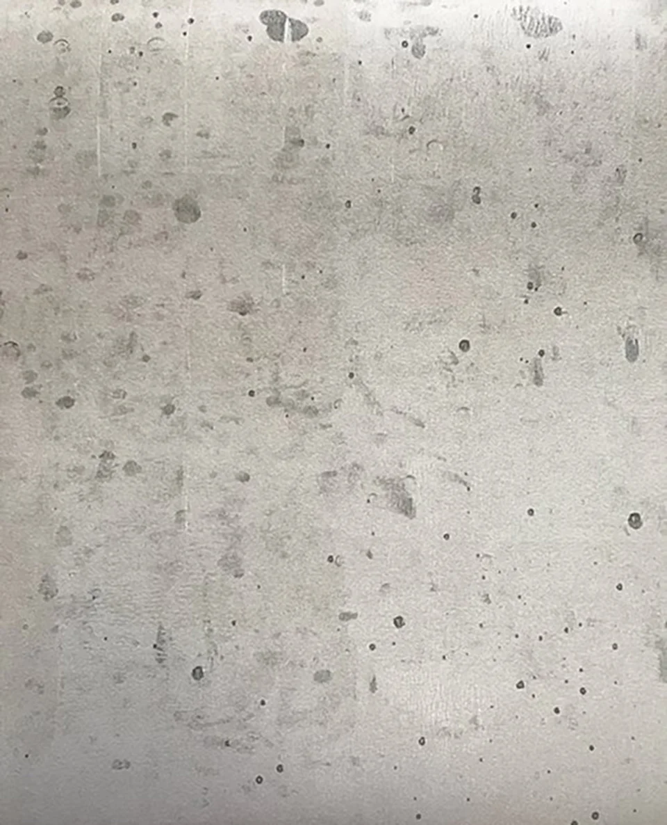 v2311.jpg