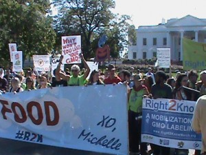 Marchers in front of White House
