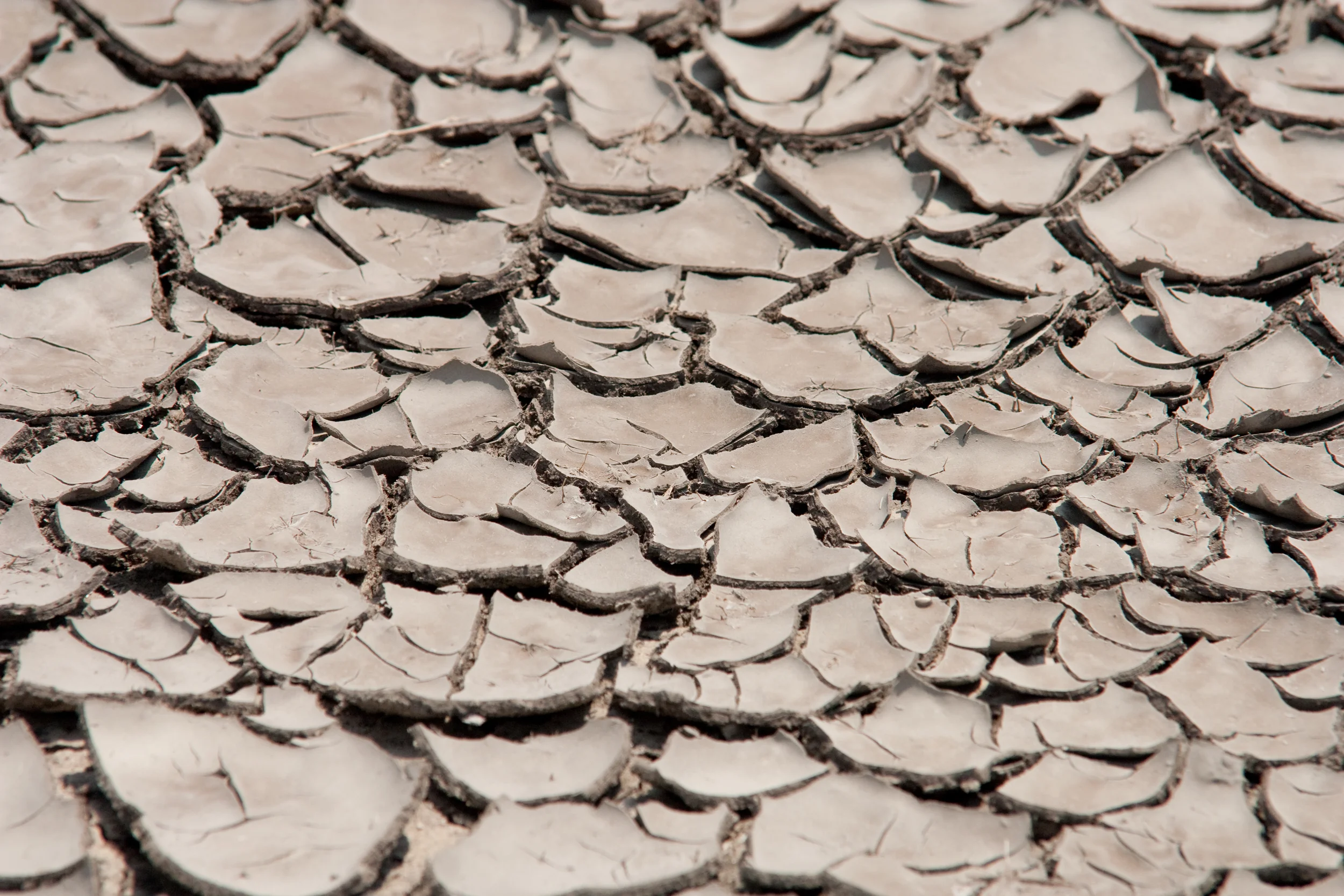 drought.jpg