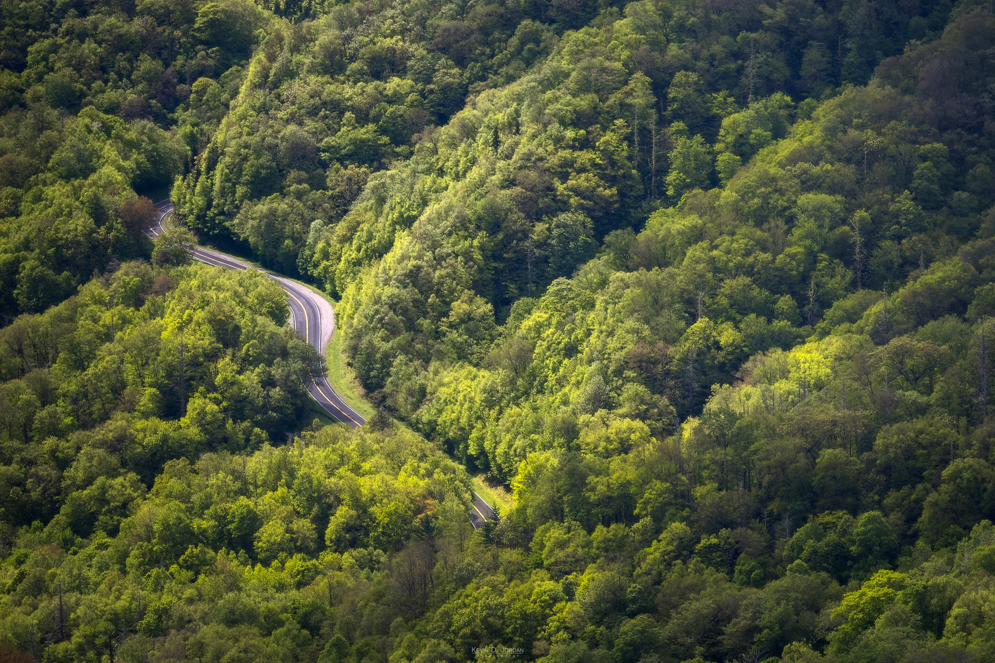 A road winds through the trees in Great Smoky Mountain National Park (© Kevin D. Jordan Photography)