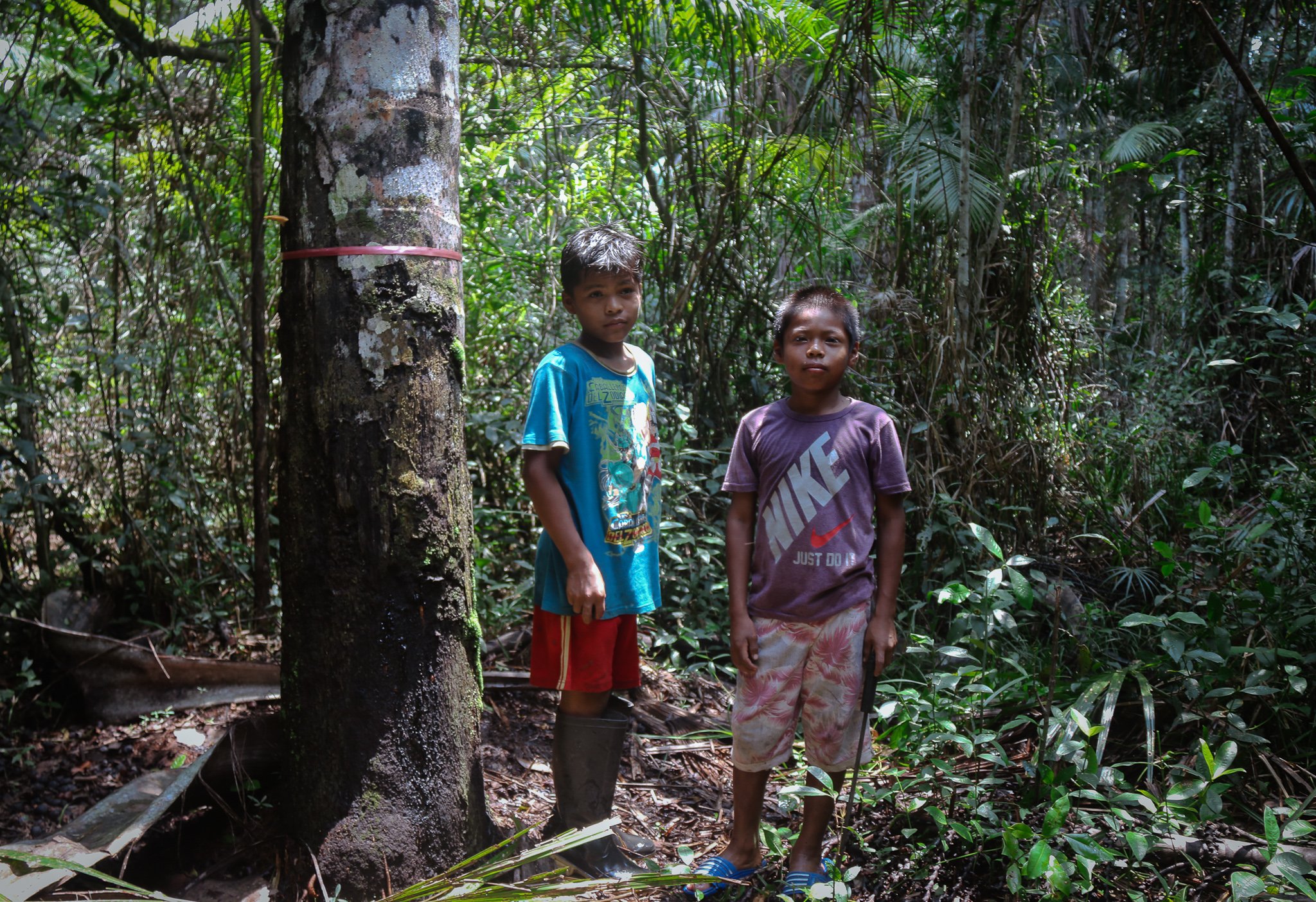 ProPurús_Niños_indígenas_entre_aguajales_en_Imiria_2022.jpg