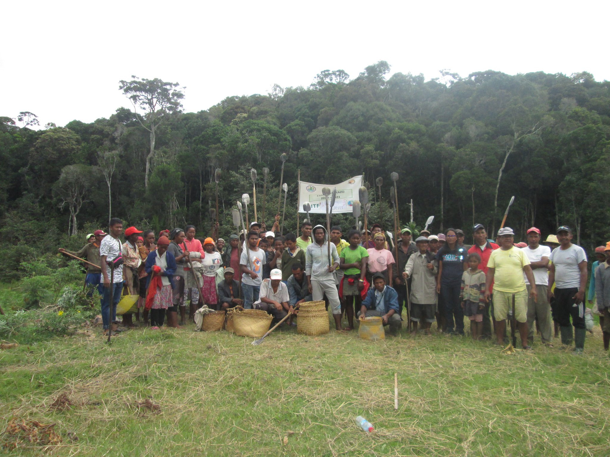 Community_reforestation_in_Ambongamarina.jpg