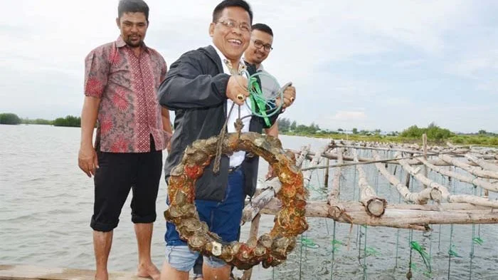 Natural_Aceh_Oyster.jpg
