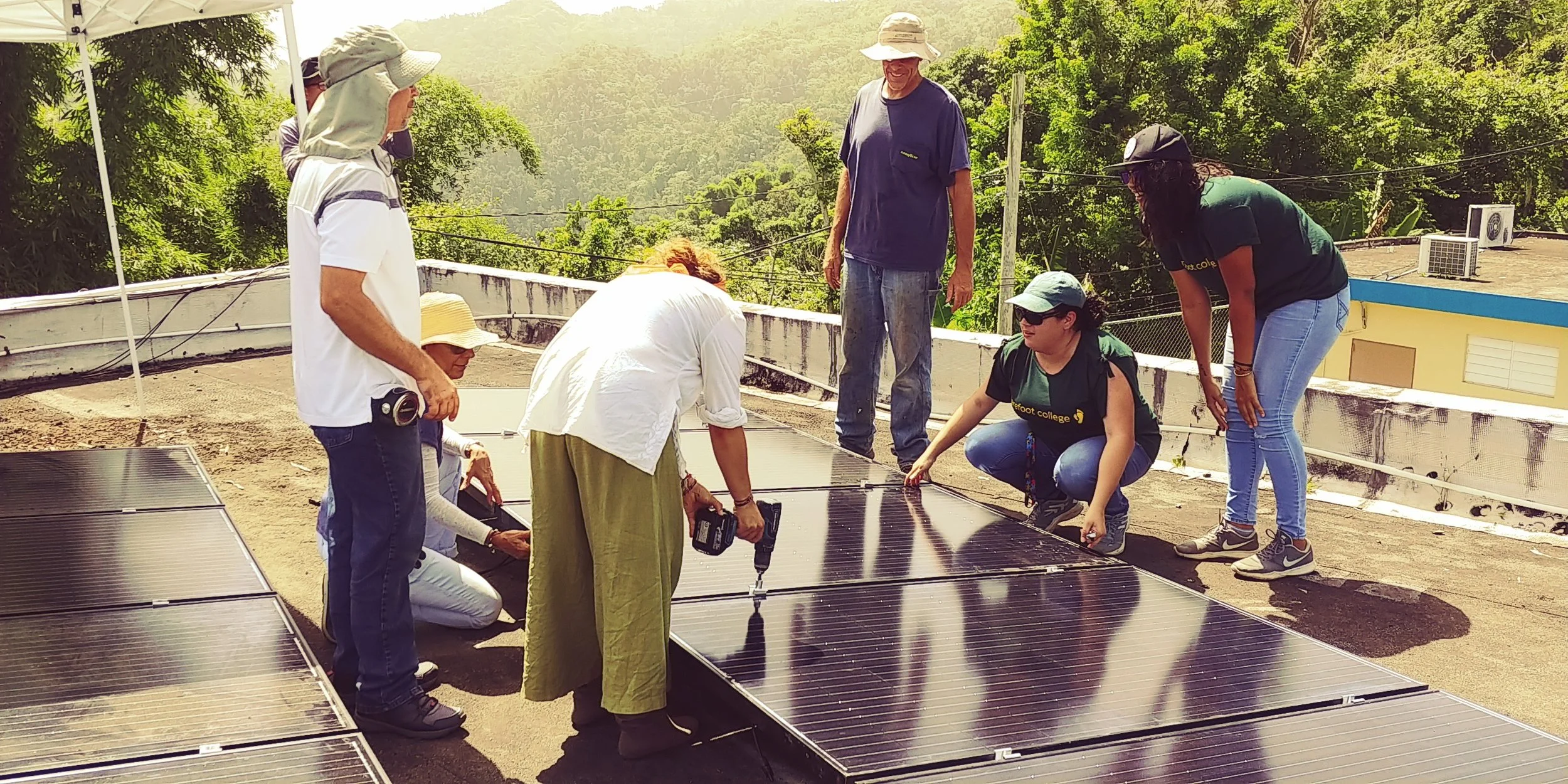 Mesa Multisectorial Del Bosque Modelo De Puerto Rico