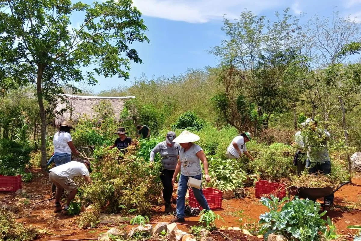 U Yich Luum (12).jpg