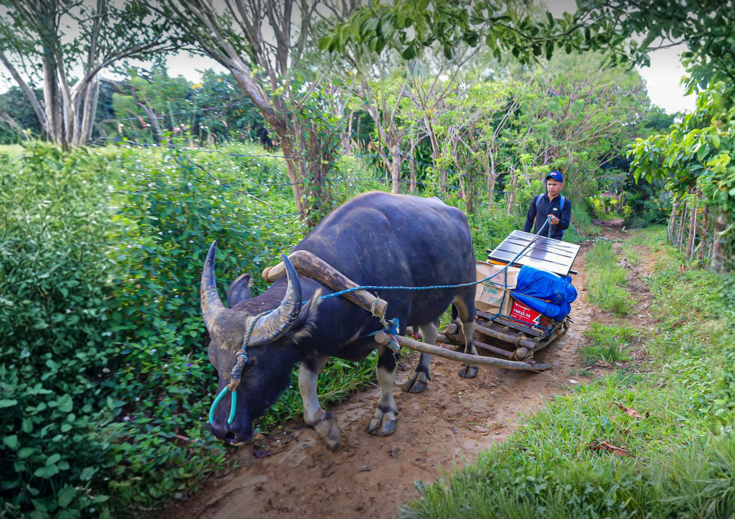 Our 2025 Impact Report