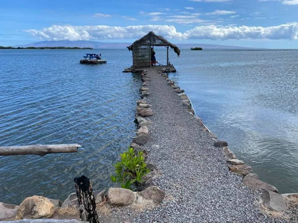 AinaM_walls-sealevelrise.jpg