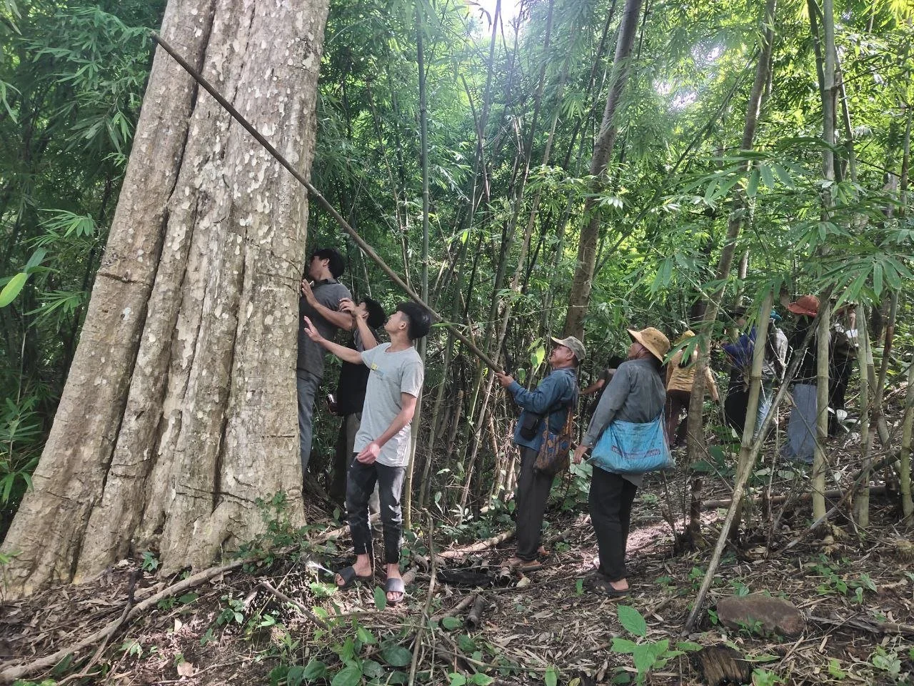 ICSO_supported_indigenous_community_representative_on_forest_patrolling.jpg