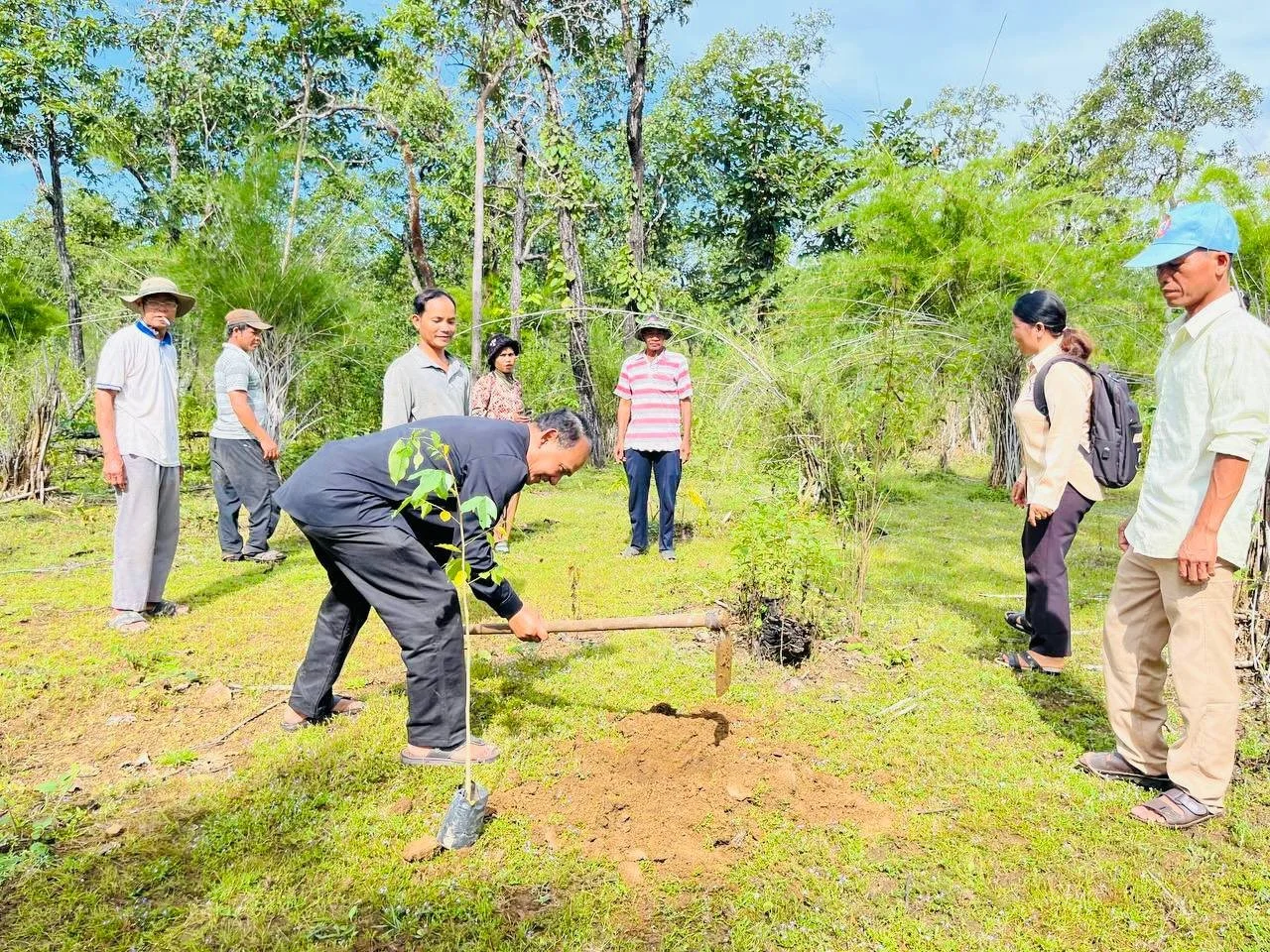 ICSO_team_supported_reforestation_in_the_indigenous_community_forest.jpg