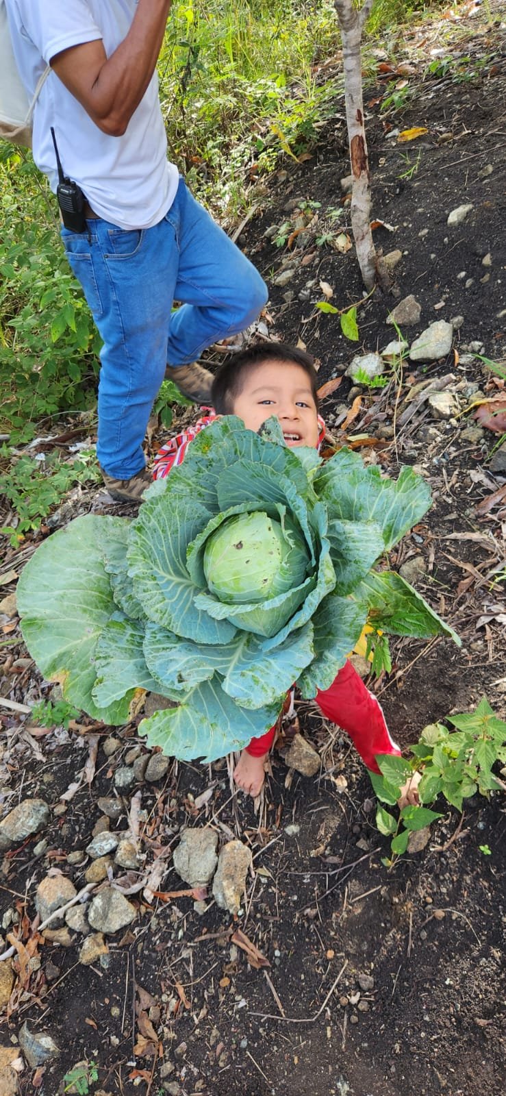 AsoCampRioNegro_Produccion_saludable.jpeg
