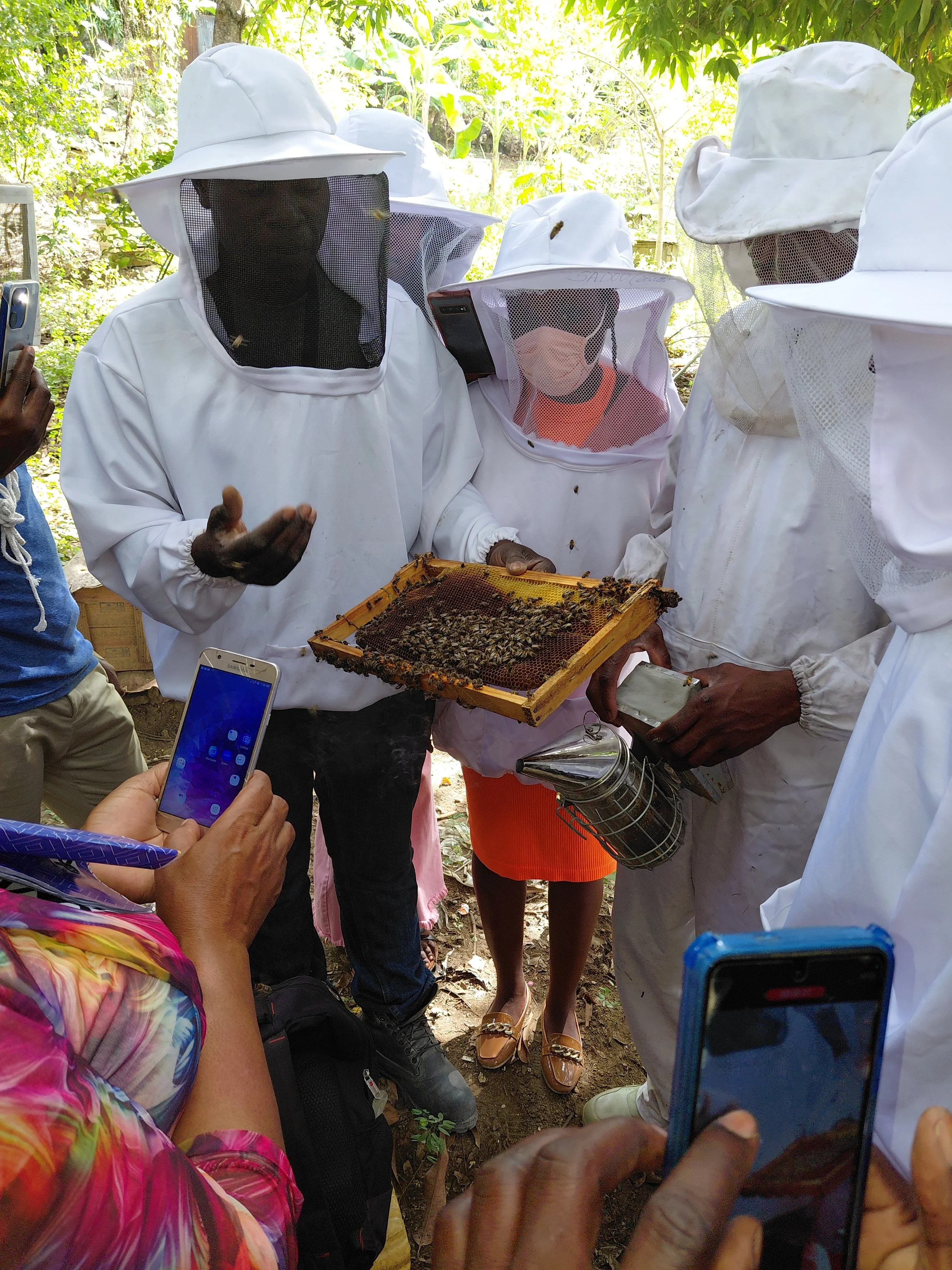 AsoFanm_Training_Beekeeping.jpg