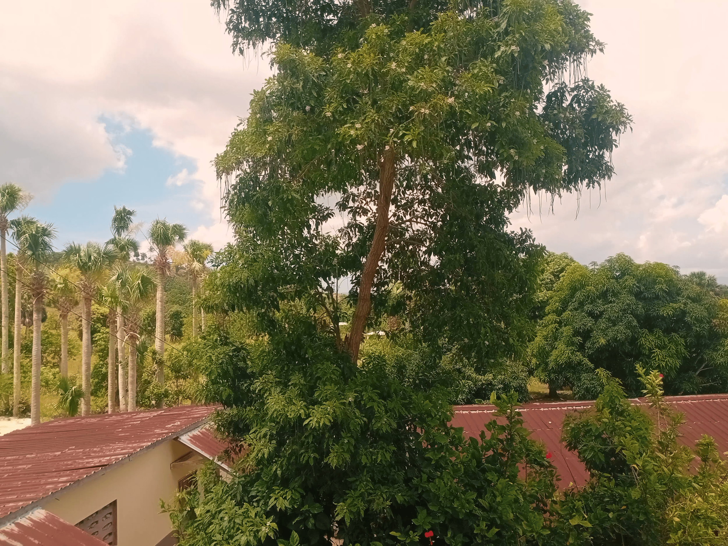 EgliseNaz_20260802_115630.png