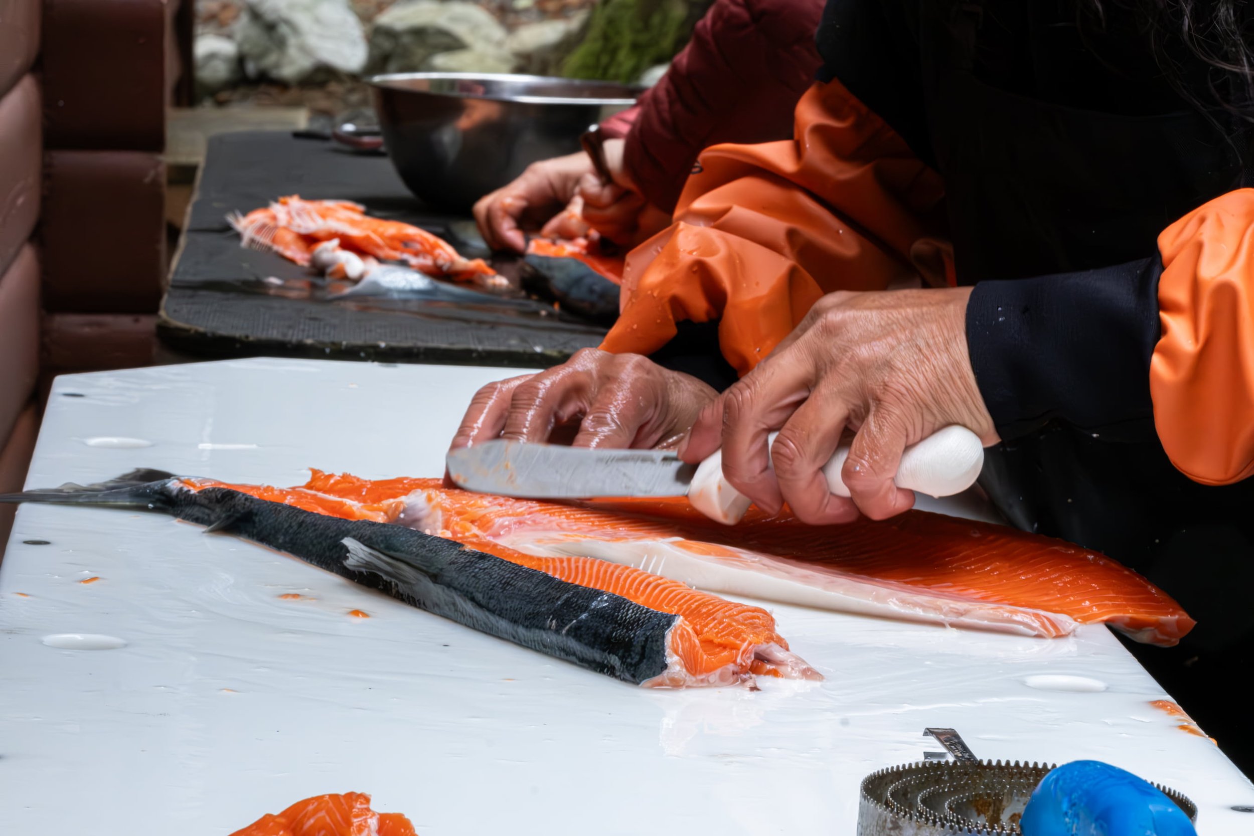 NativeCons_Salmon_Processing–Photo_Credit-Della_Stroh (2).jpg