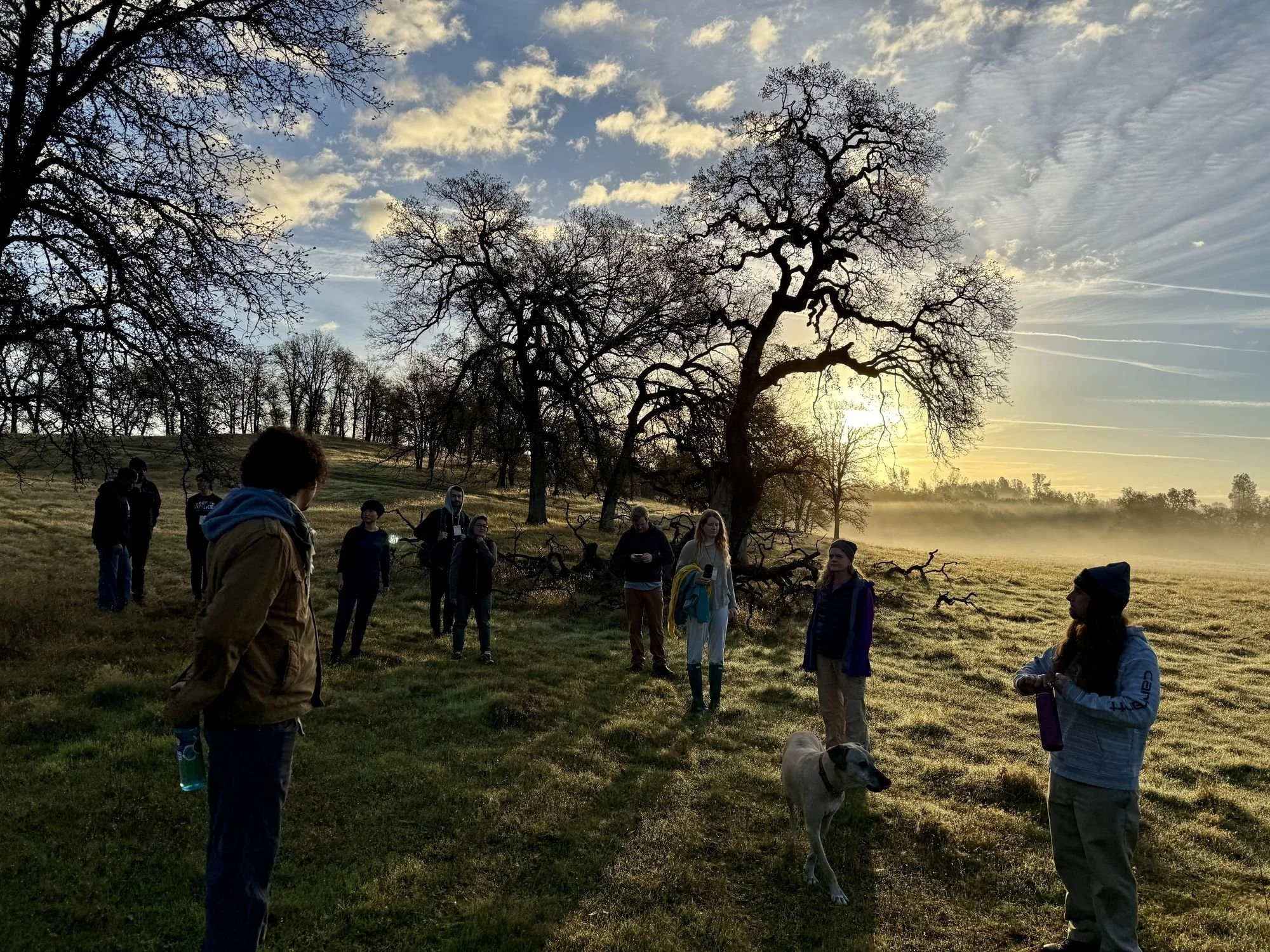 NRN_AE25_early_morning_hike.jpg