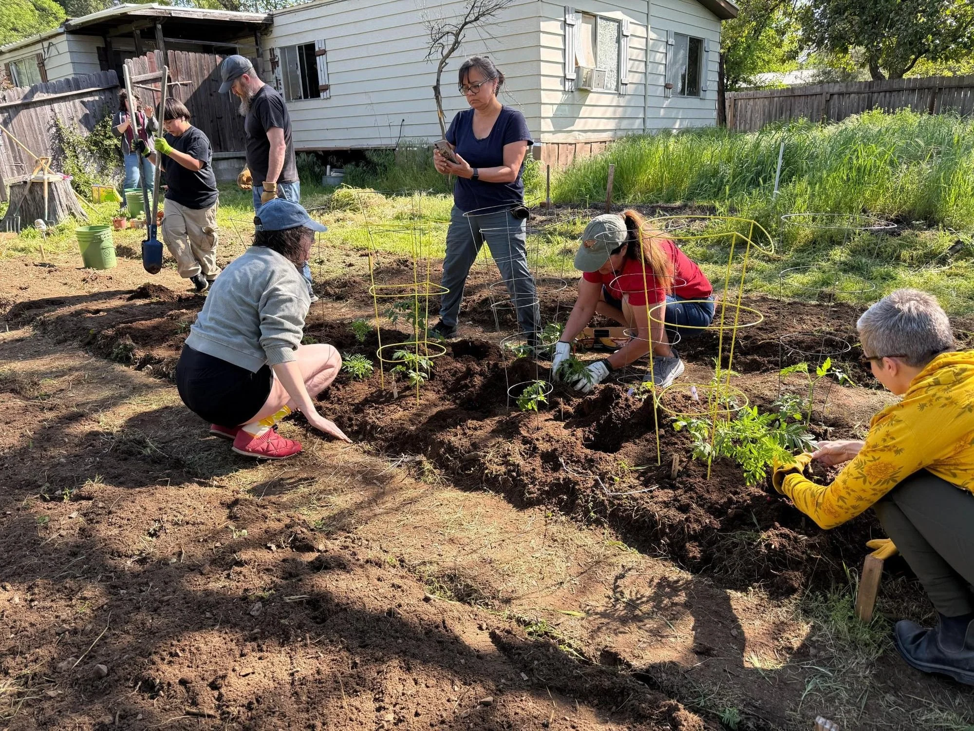 NRN_Al_Kulus_Spring_2025_garden_install.jpg