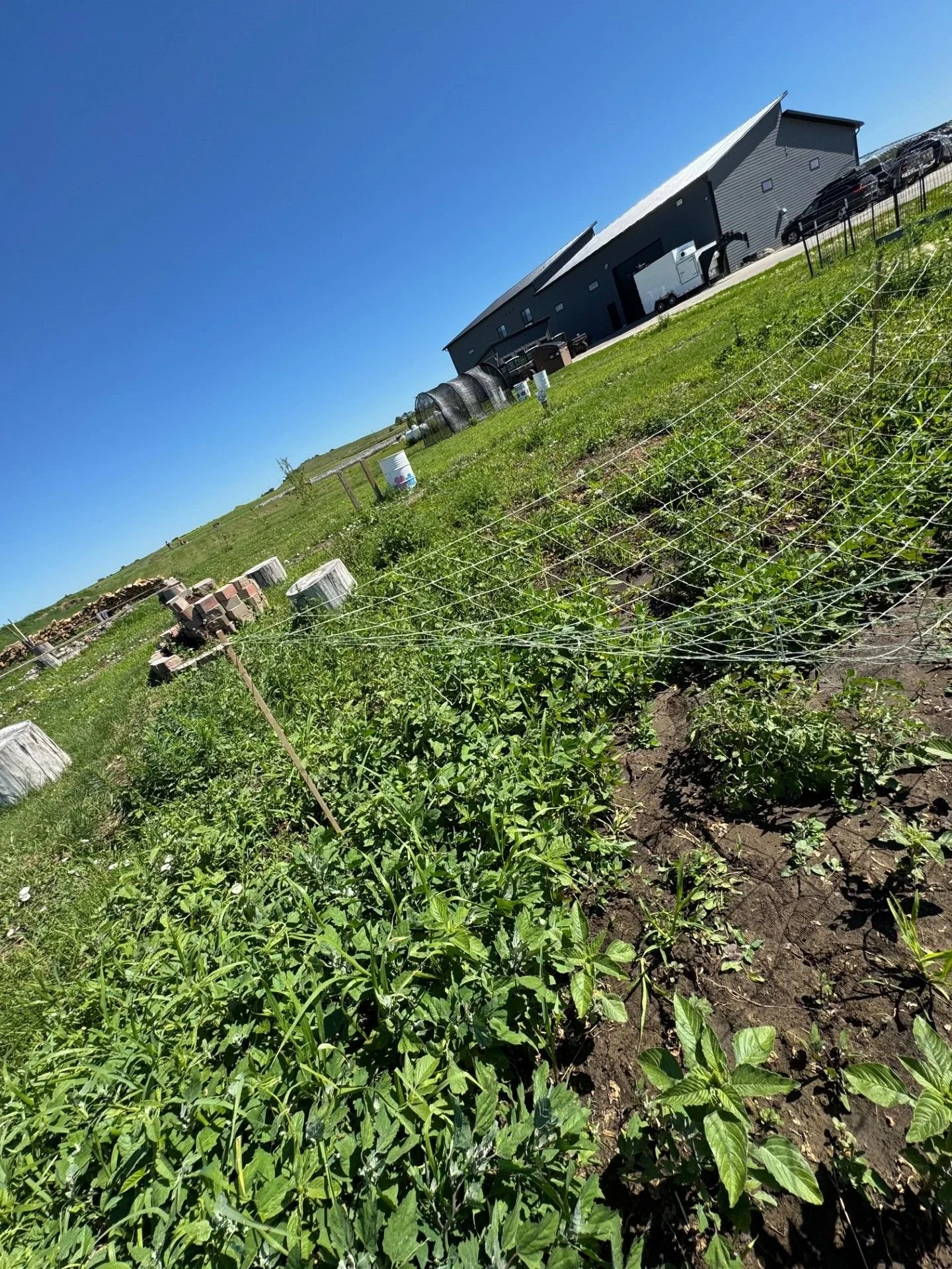 Wozu_natural_garden_wozu_grounds_2.jpg