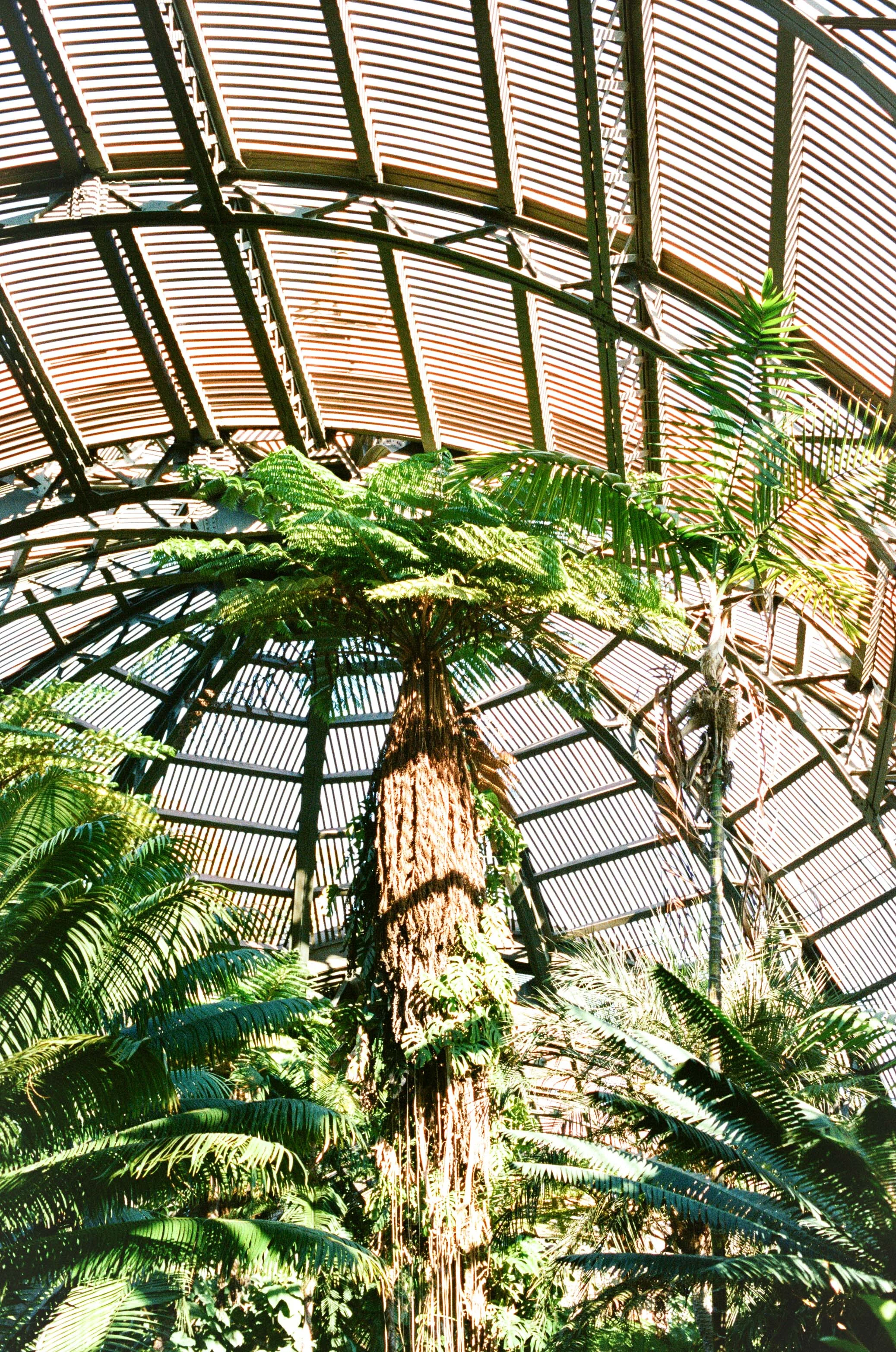 View from inside the Botanical Gardens