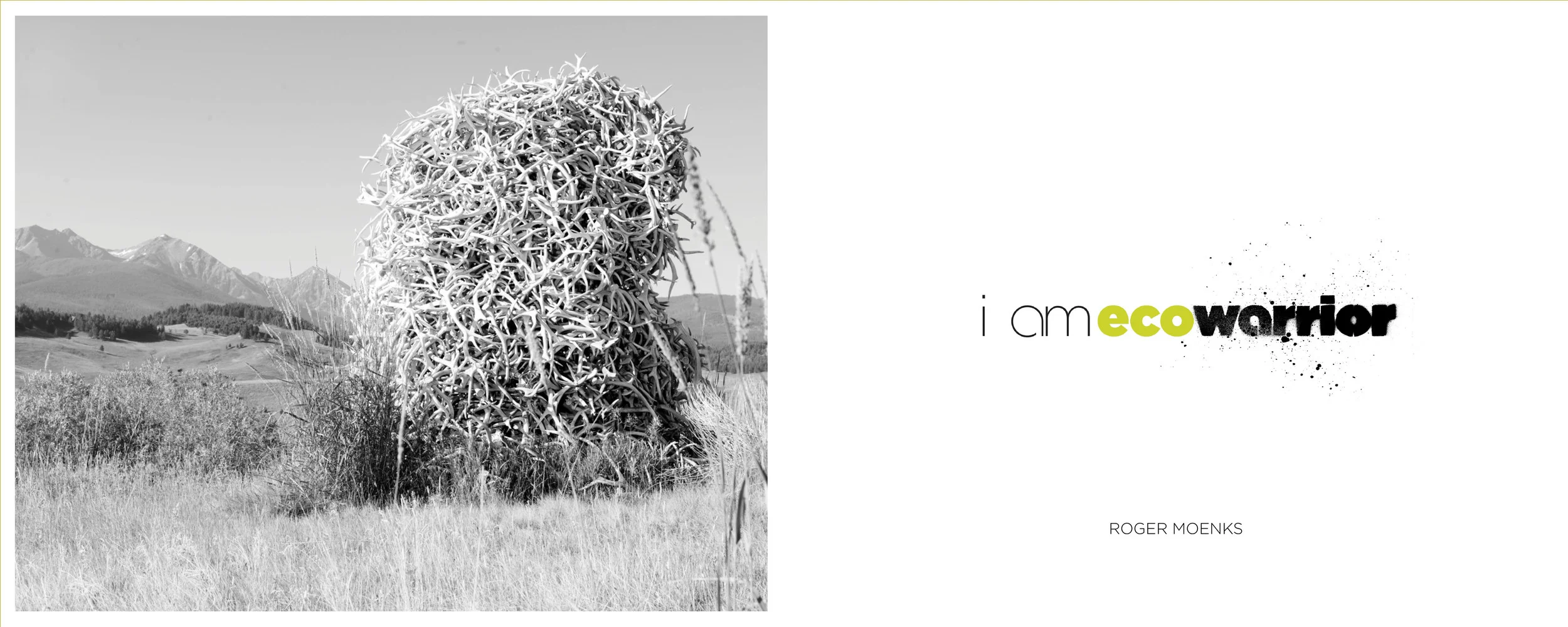 eco_warrior_title_page.jpg