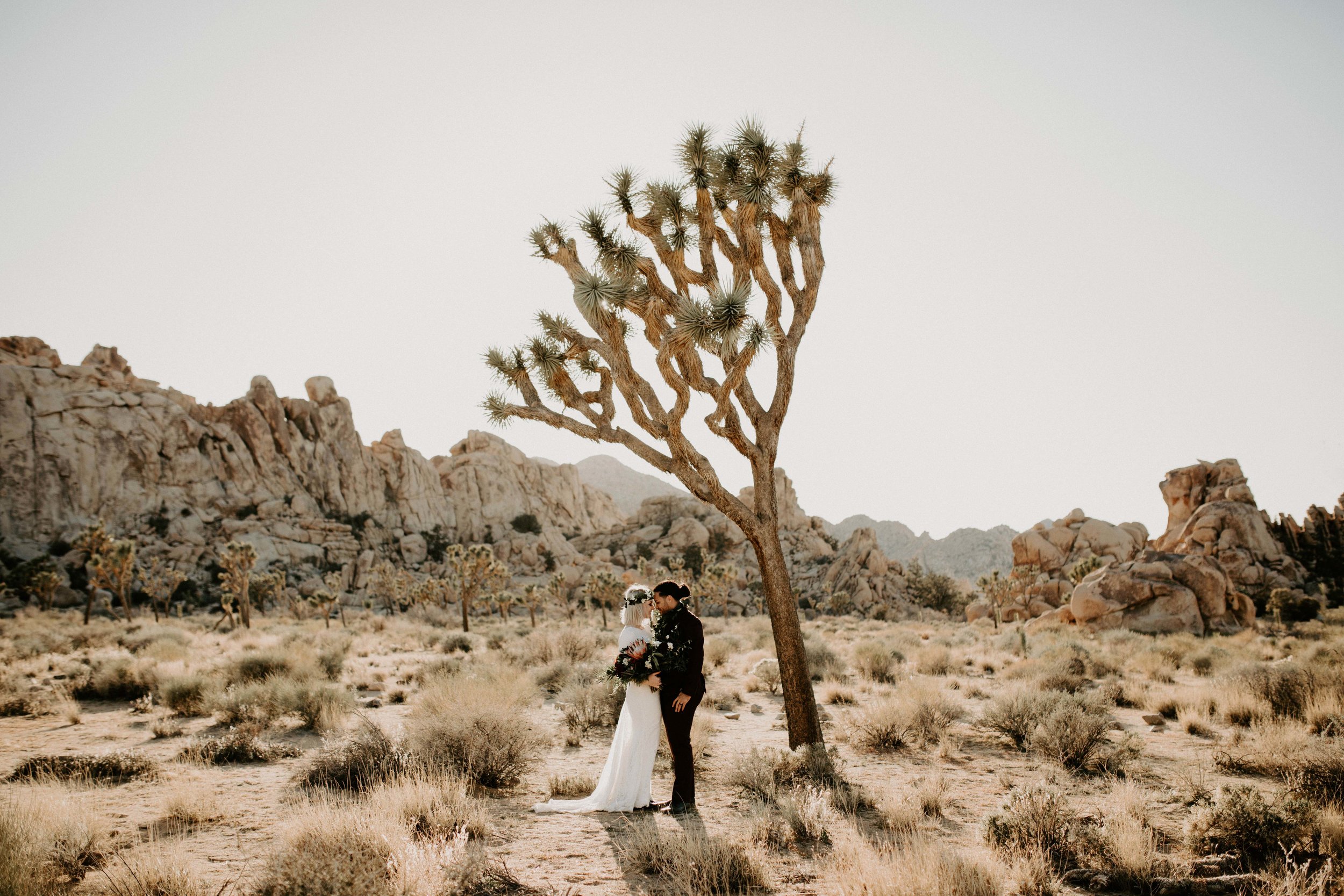 Elopement in Joshua Tree National Park in California