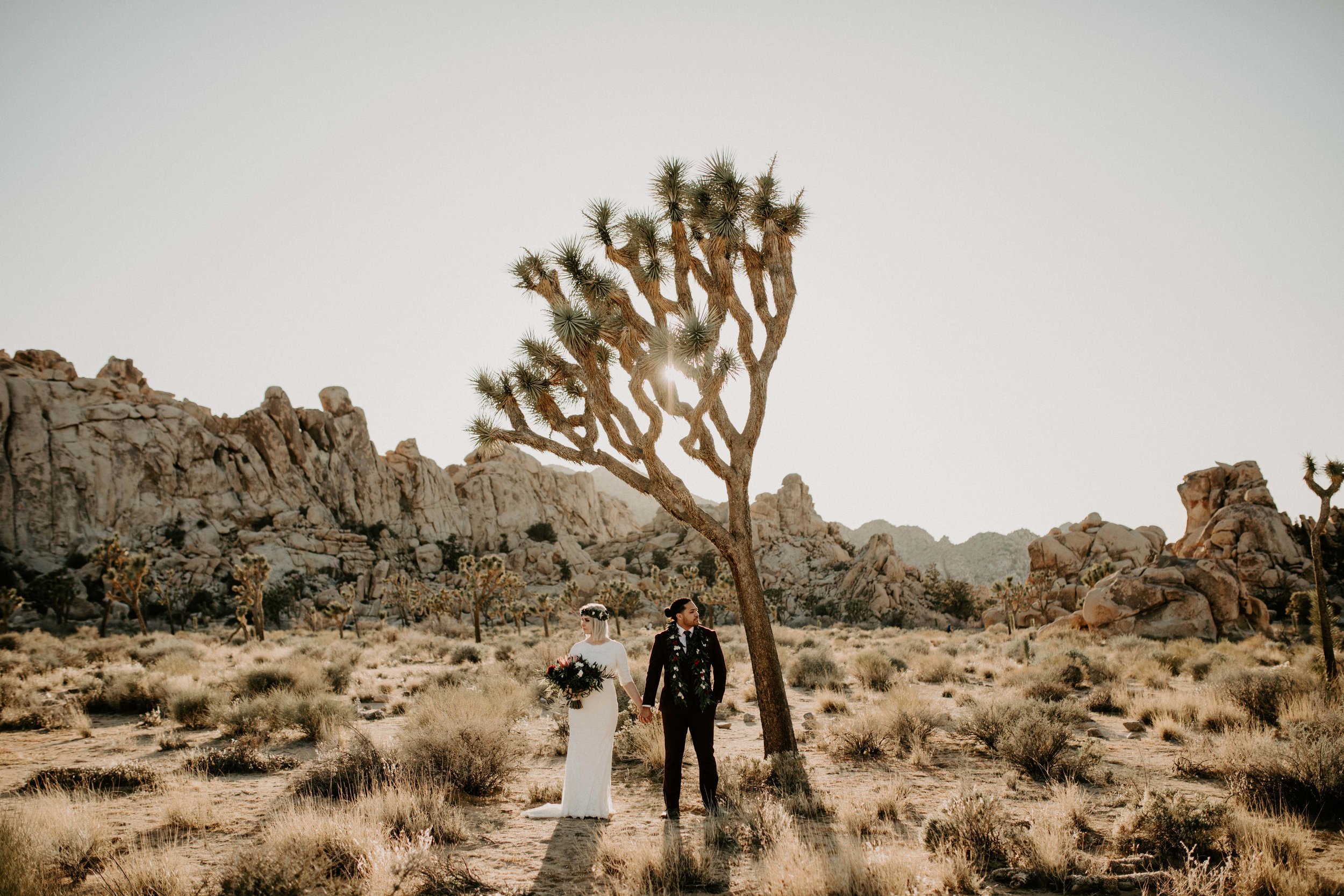 Elopement in Joshua Tree National Park in California