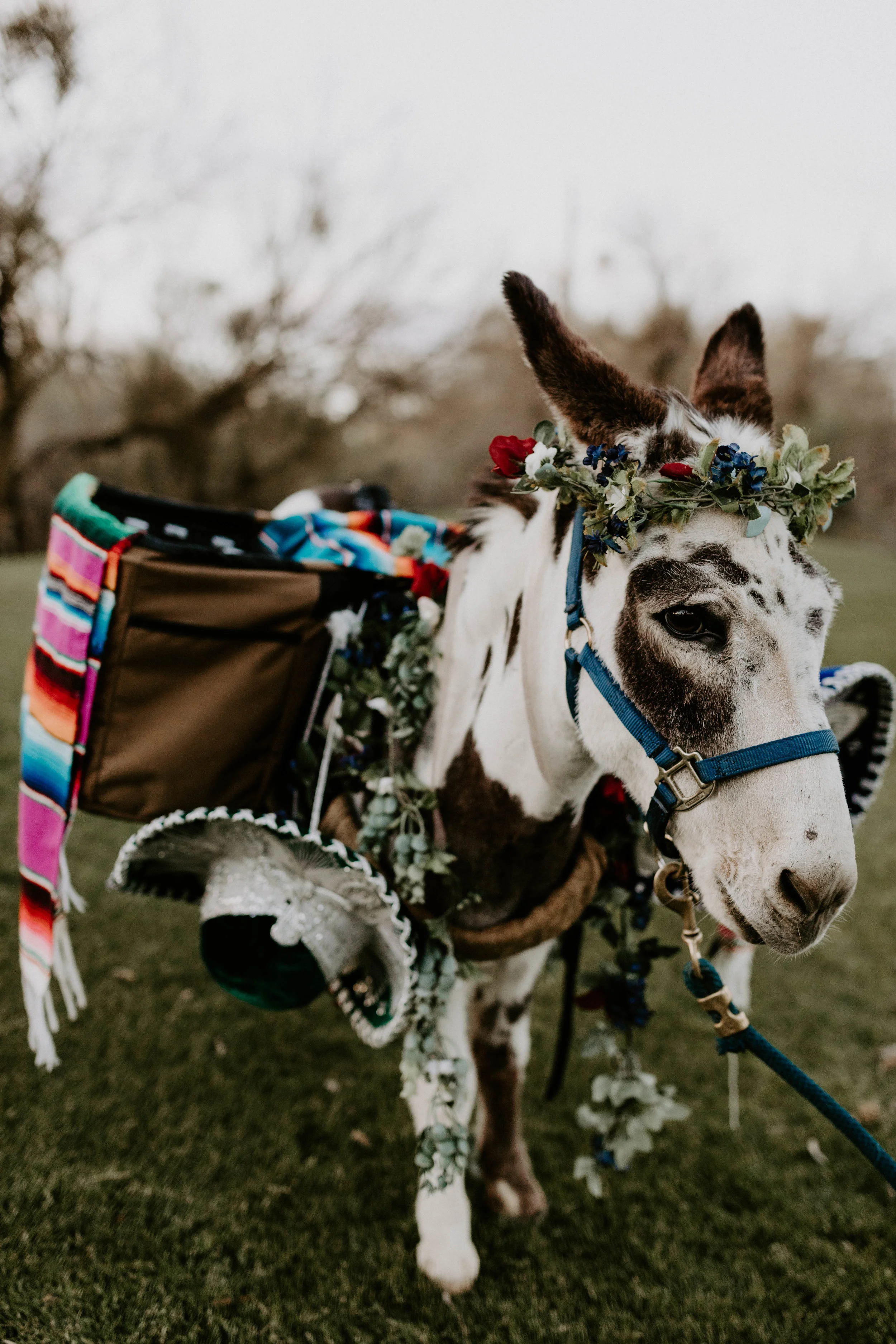 katieandbridgerwedding621.jpg