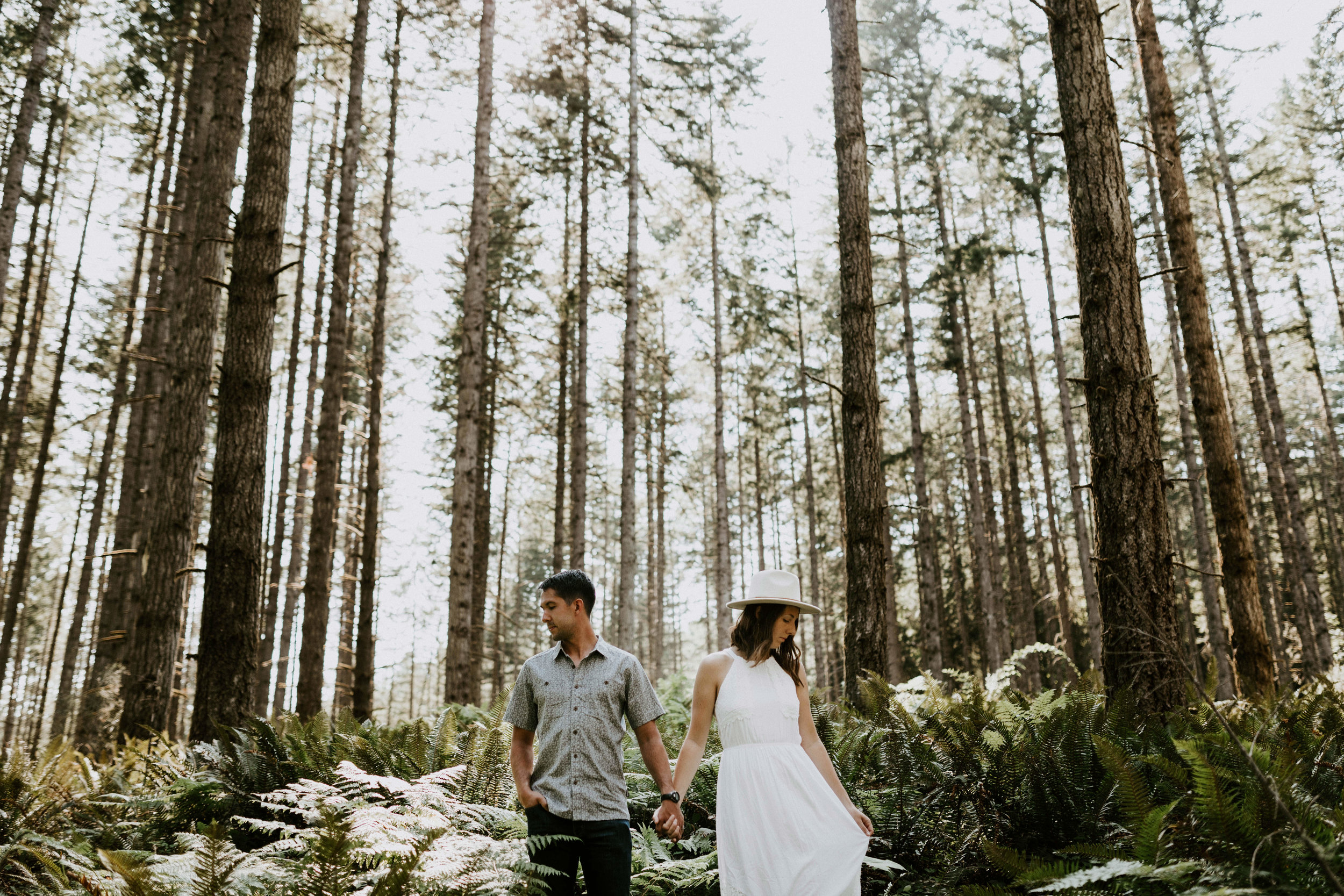 Forest in Portland, Oregon