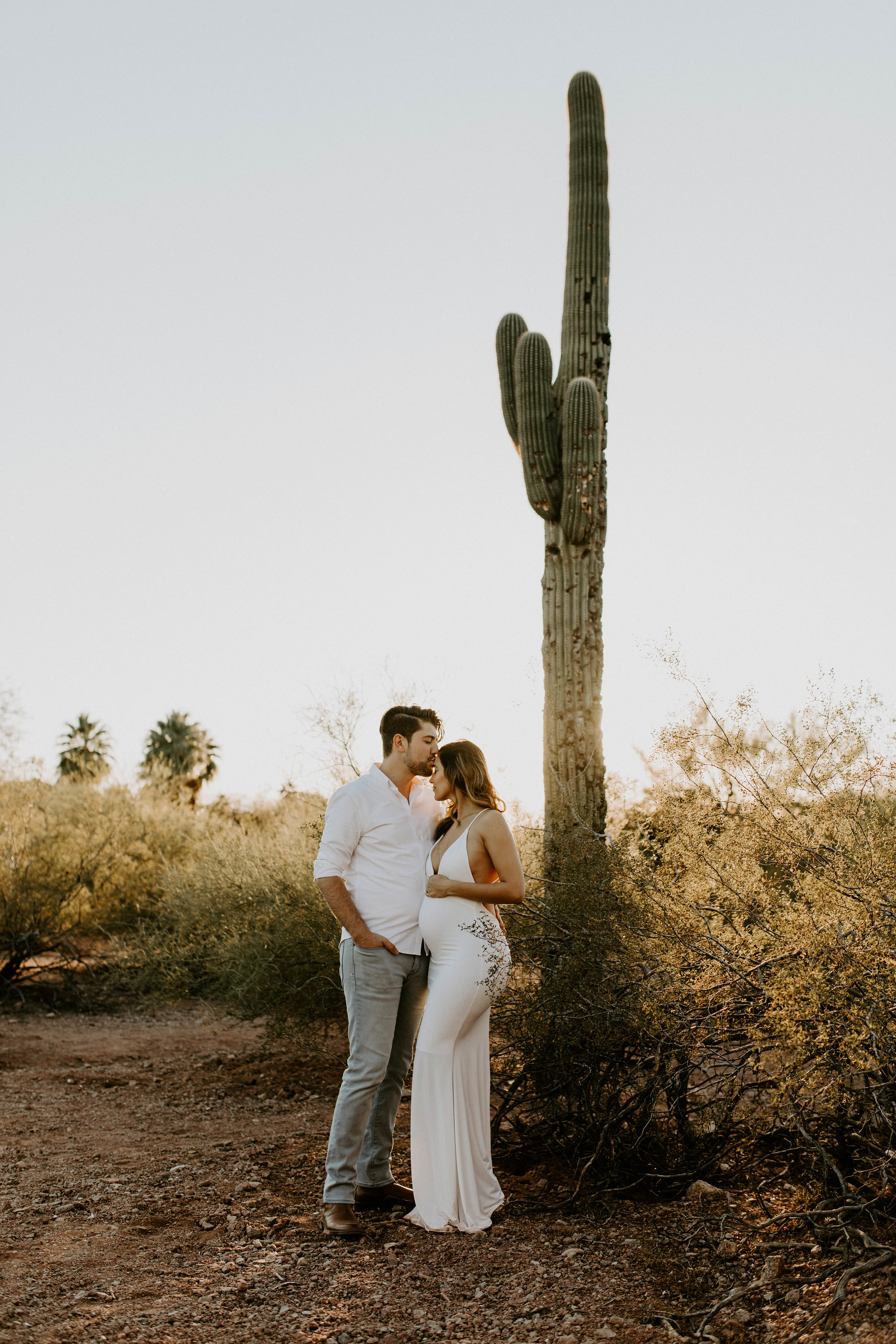 Maternity Surprise Proposal at Hole in the Rock at Papago Park in Phoenix, Arizona