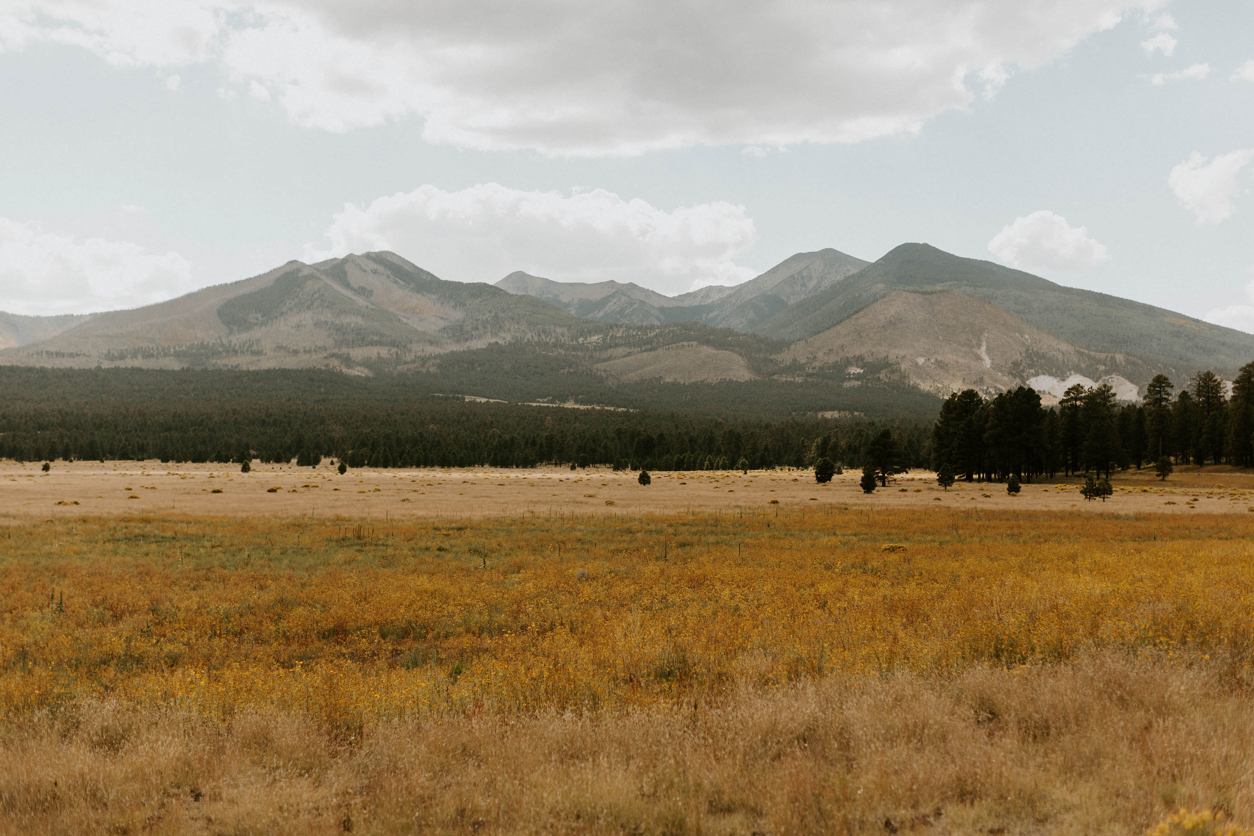 Sunset Crater Volcano in Flagstaff Arizona