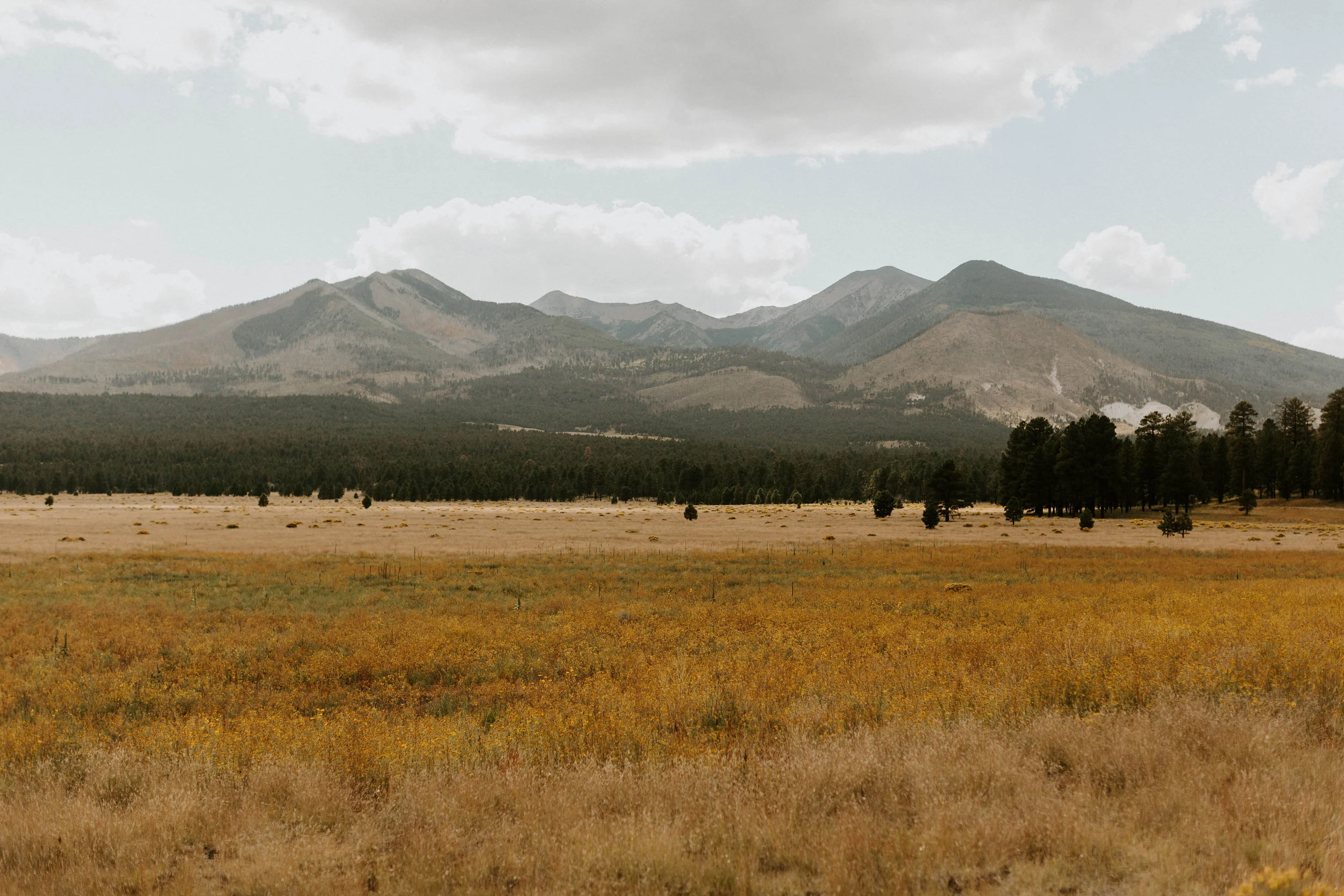 Sunset Crater Volcano in Flagstaff Arizona