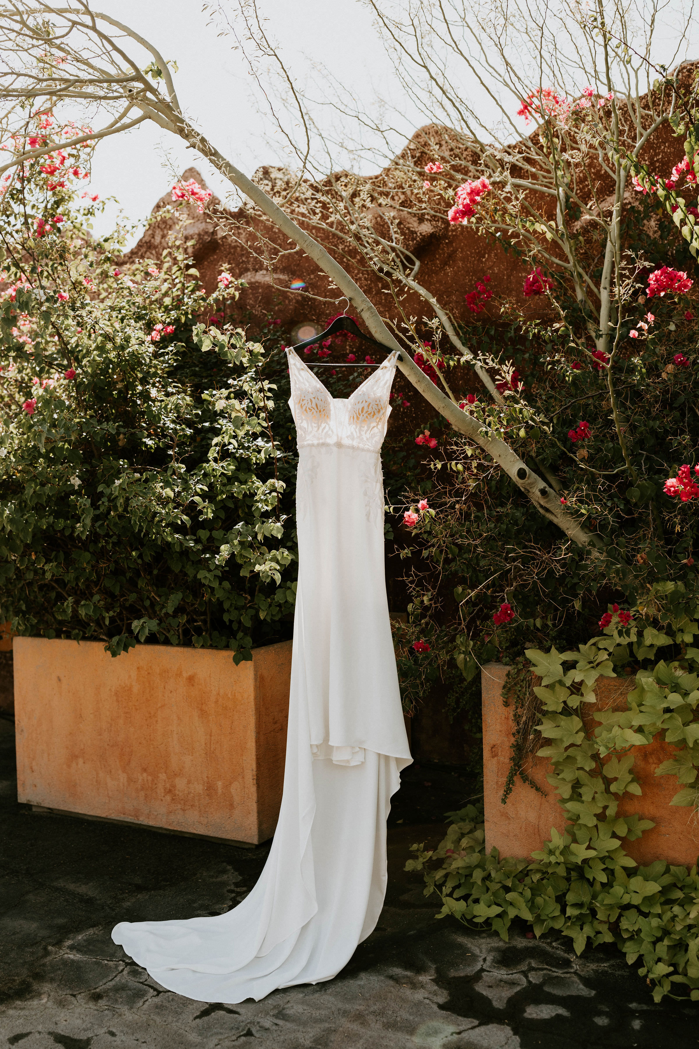 boojumtreephoenixarizonaweddingerikagreenephotography1.jpg