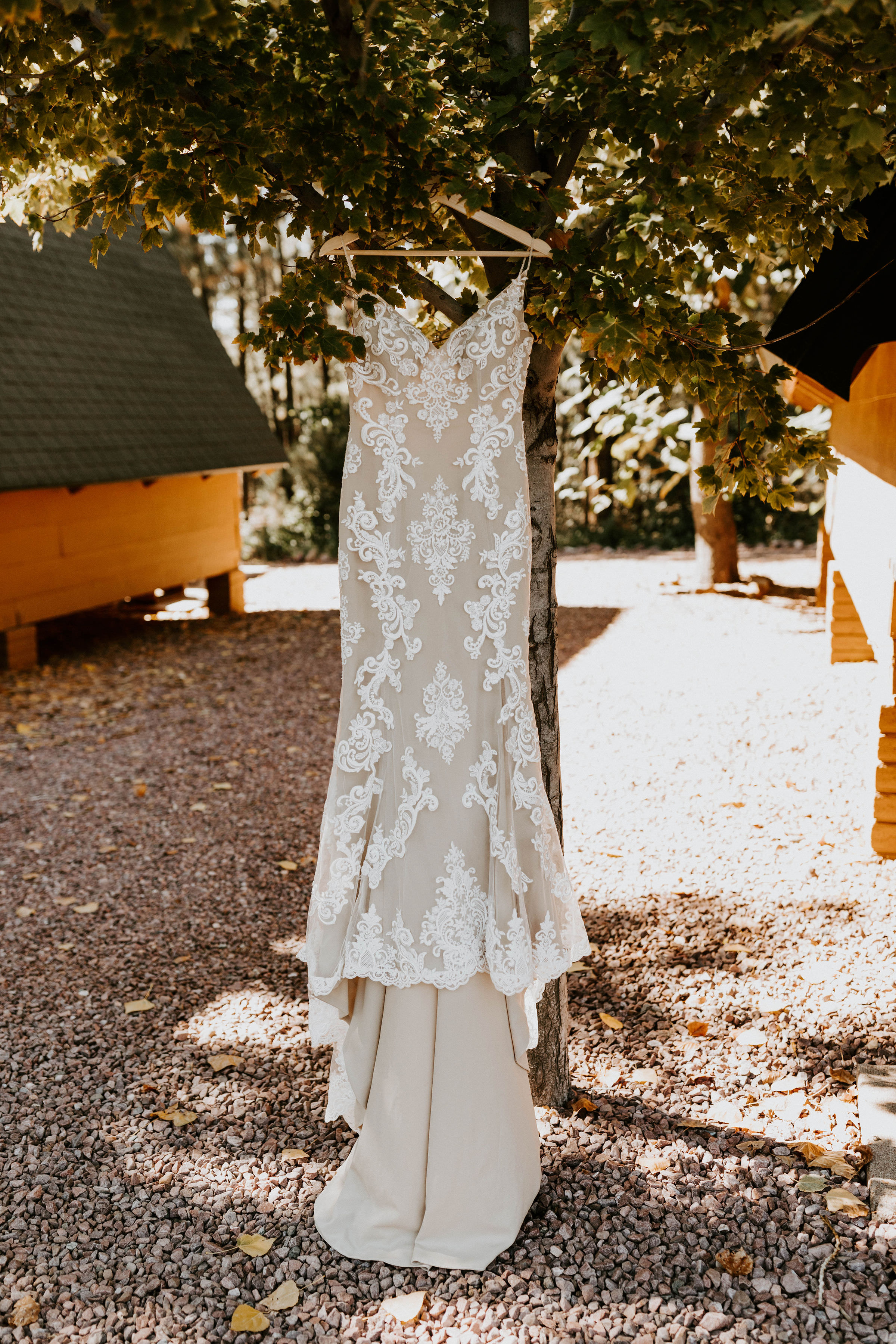 StrawberryHillCabinWeddingArizonaErikaGreenePhotography7.jpg