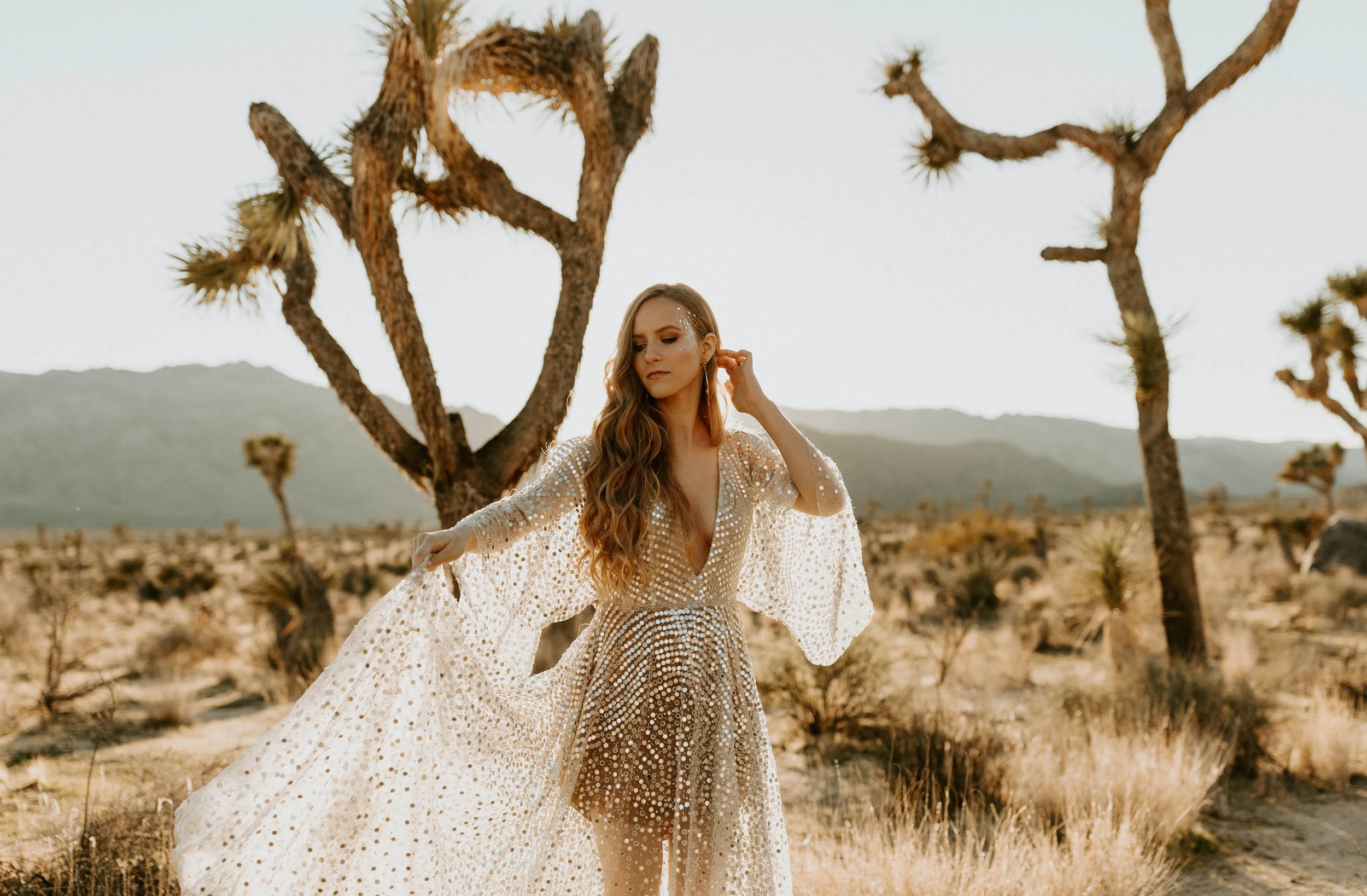 joshuatreeelopementerikagreenephotography136.jpg