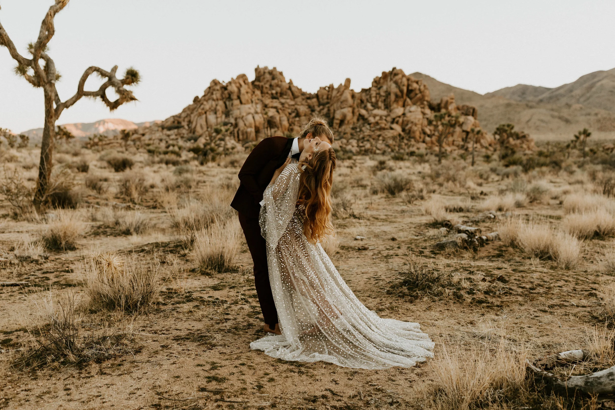 joshuatreeelopementerikagreenephotography197.jpg