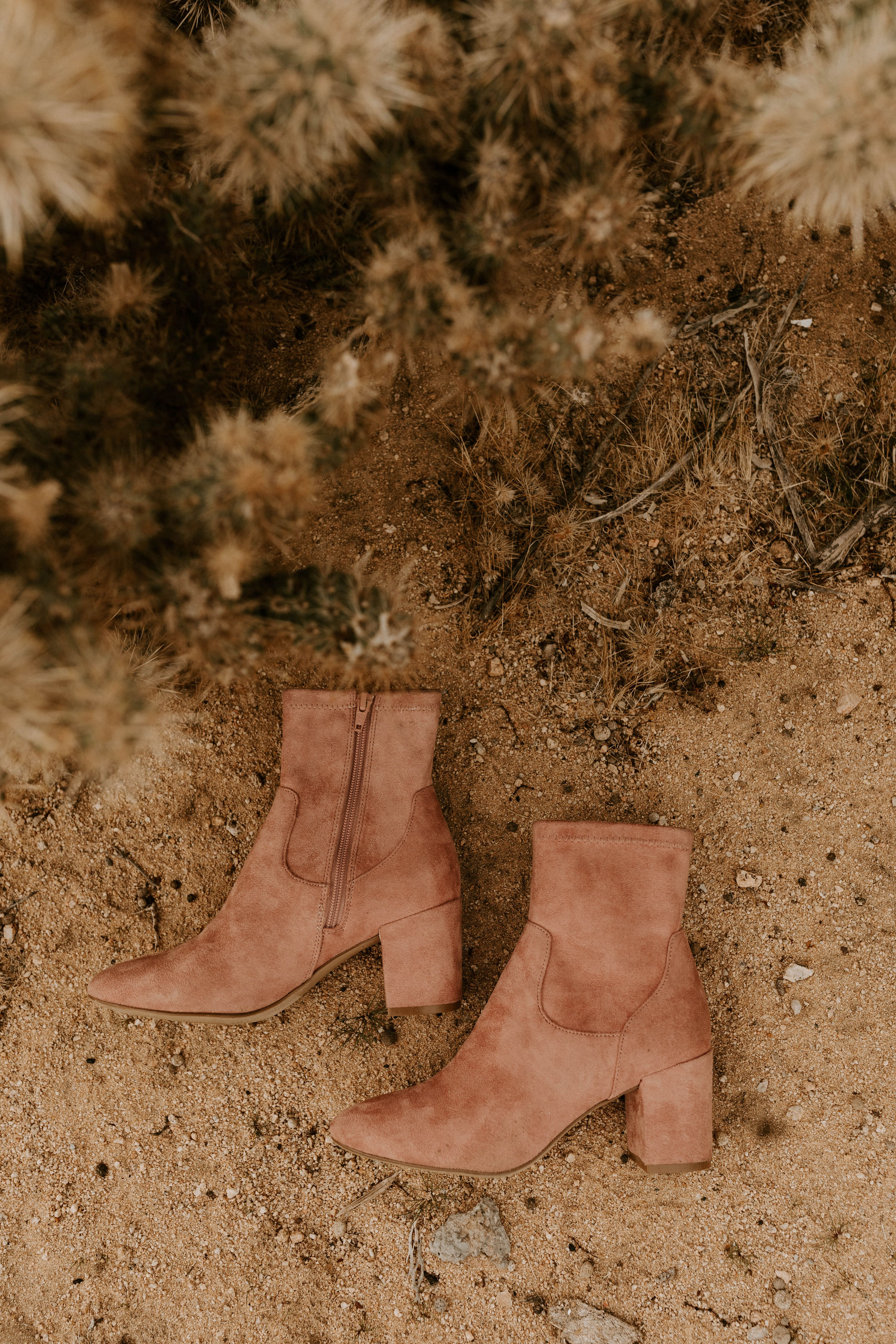 joshuatreeelopementerikagreenephotography242.jpg