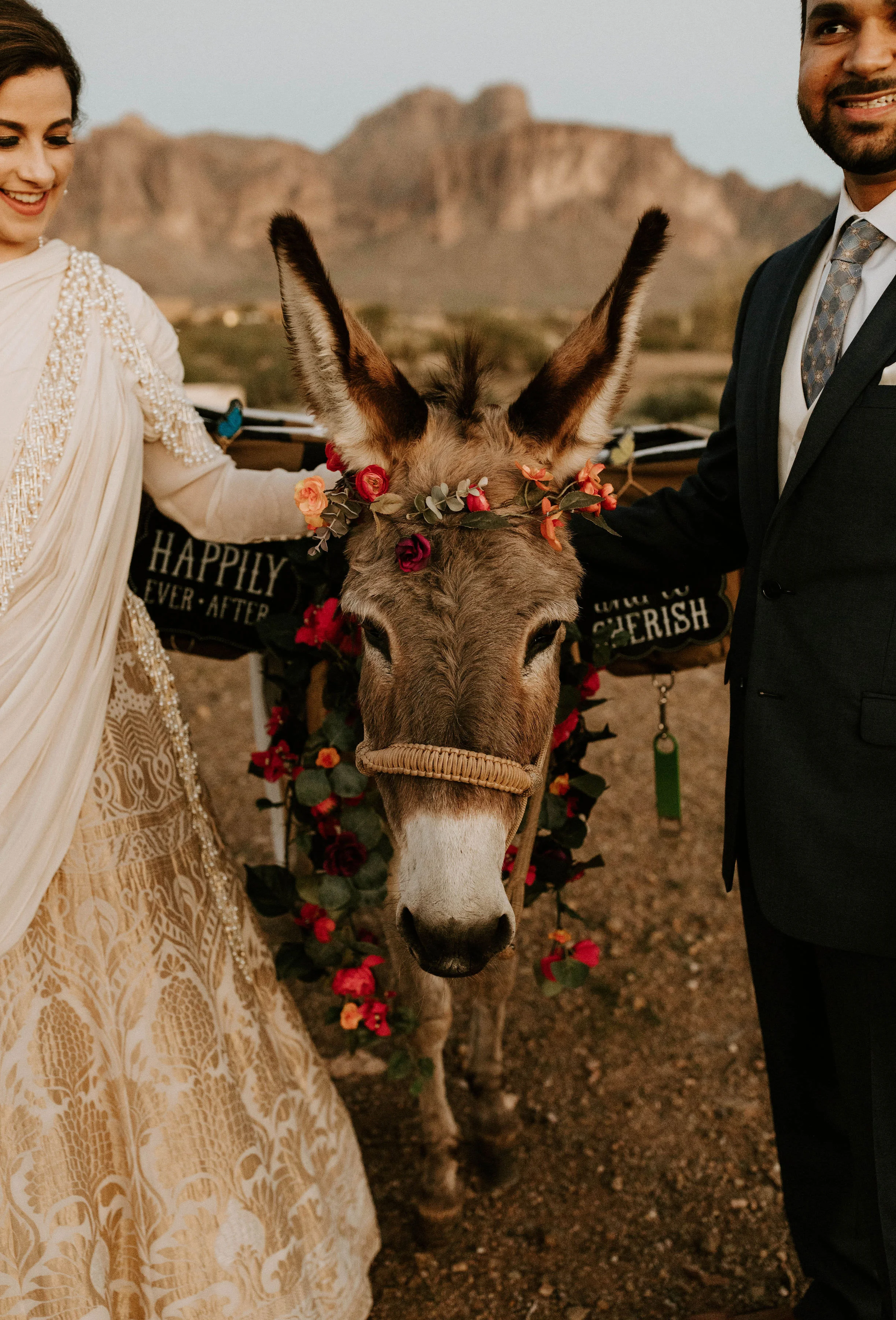 jennaandtusharerikagreenephotography830.jpg