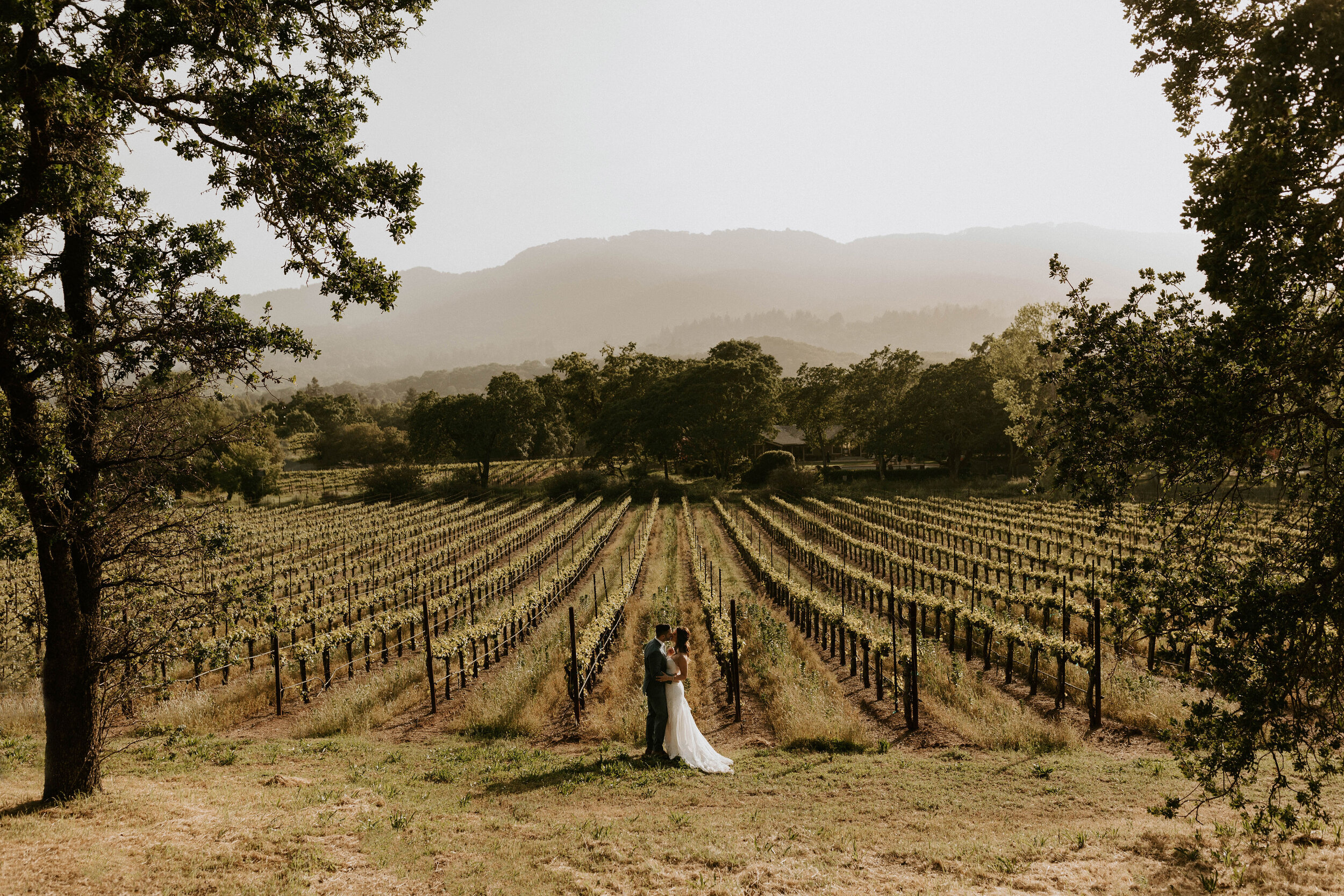 B.R. Cohn Winery Wedding Venue Vineyard