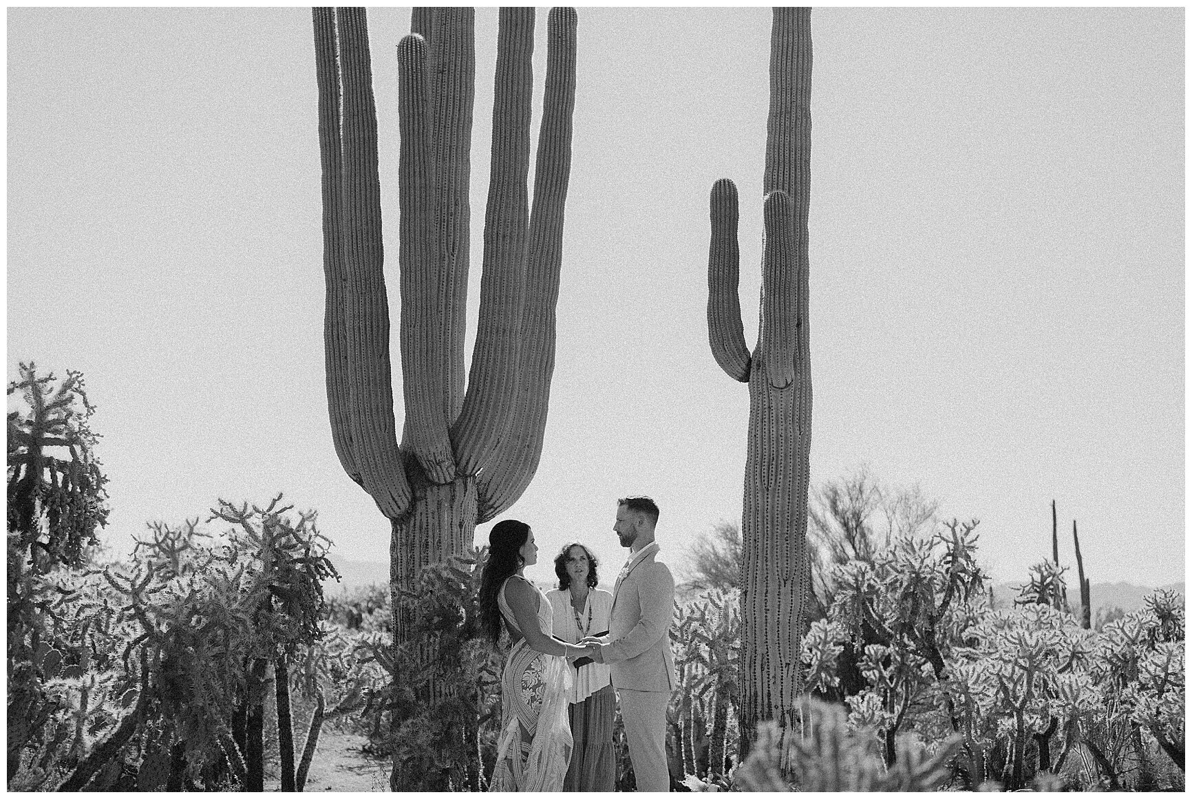 saguaro national park elopement - erika greene photography - arizona elopement photographer_0035.jpg