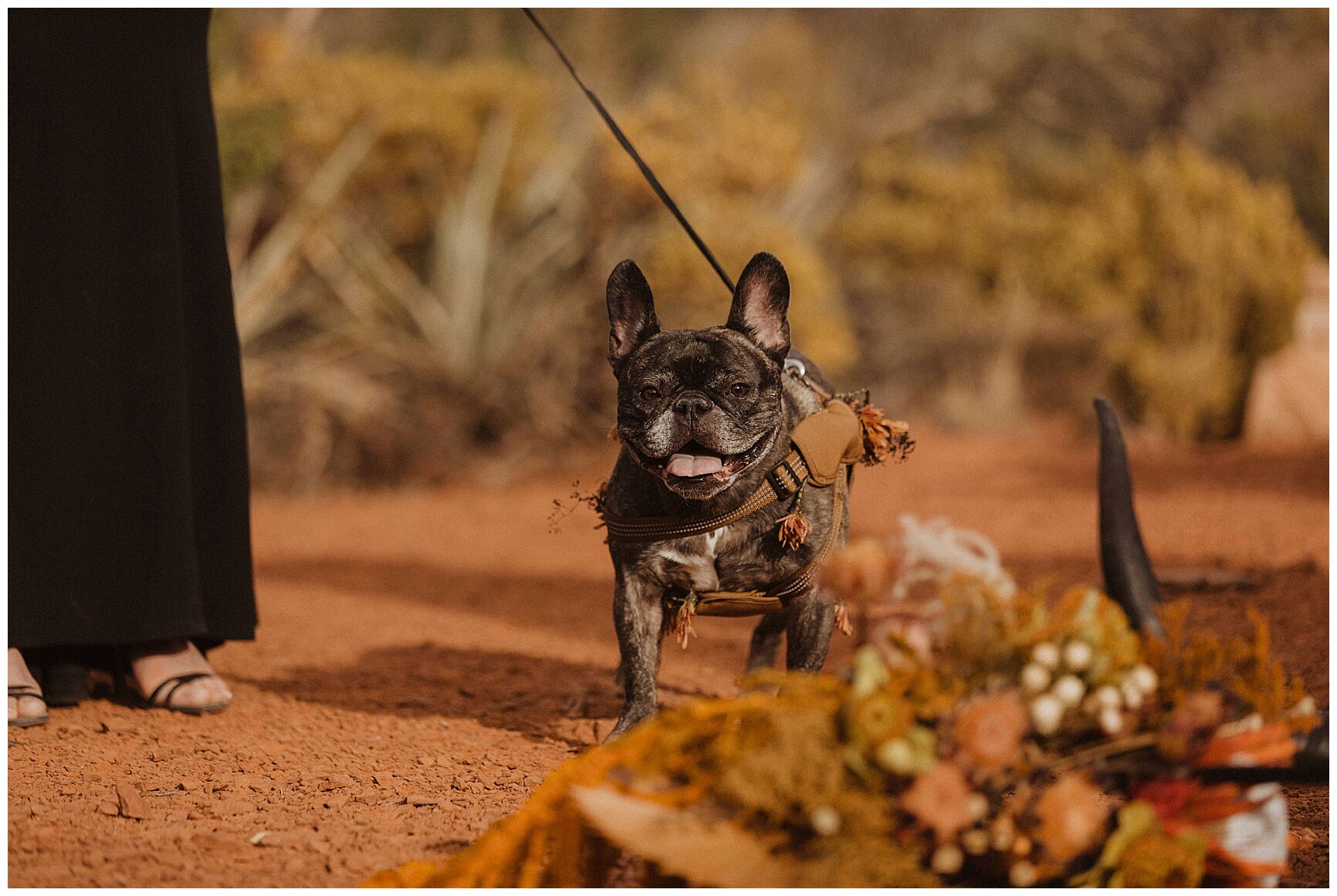 Sedona Elopement - Erika Greene Photography - Arizona Elopement Photographer_0032.jpg