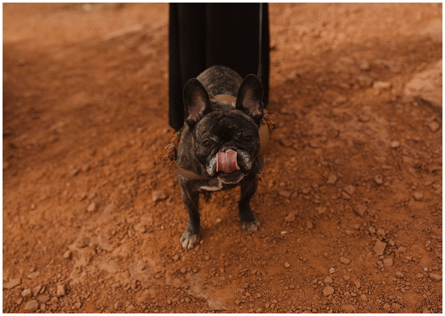 Sedona Elopement - Erika Greene Photography - Arizona Elopement Photographer_0047.jpg