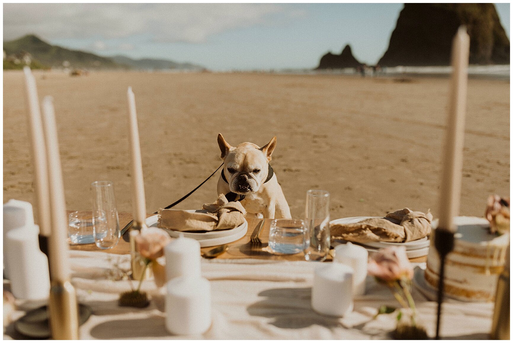 Canon Beach Elopement - Erika Greene Photography - Arizona Eloipement Photographer_0026.jpg