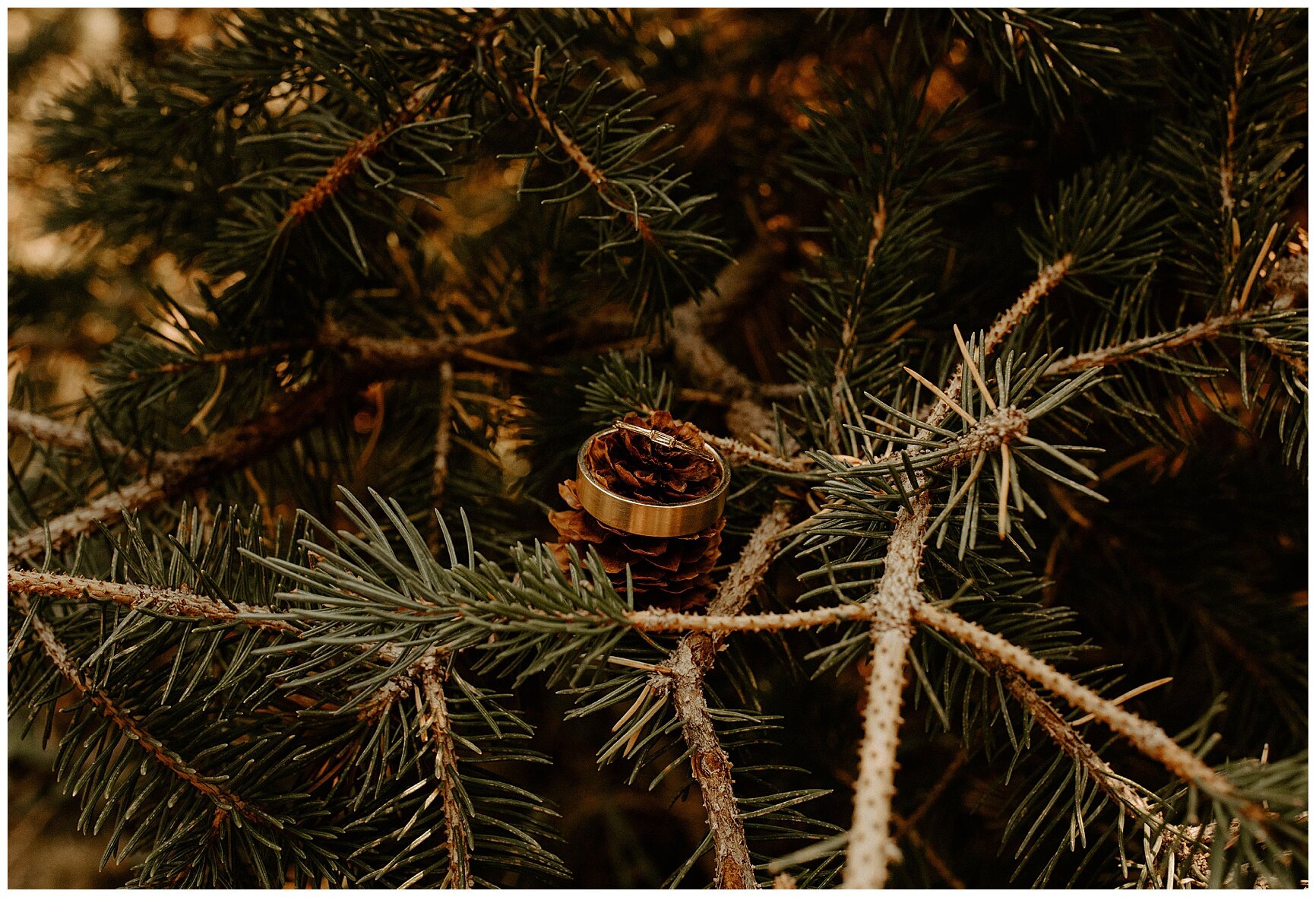 Flagstaff Hiking Elopement - Erika Greene Photography - Arizona Elopement Photographer_0010.jpg