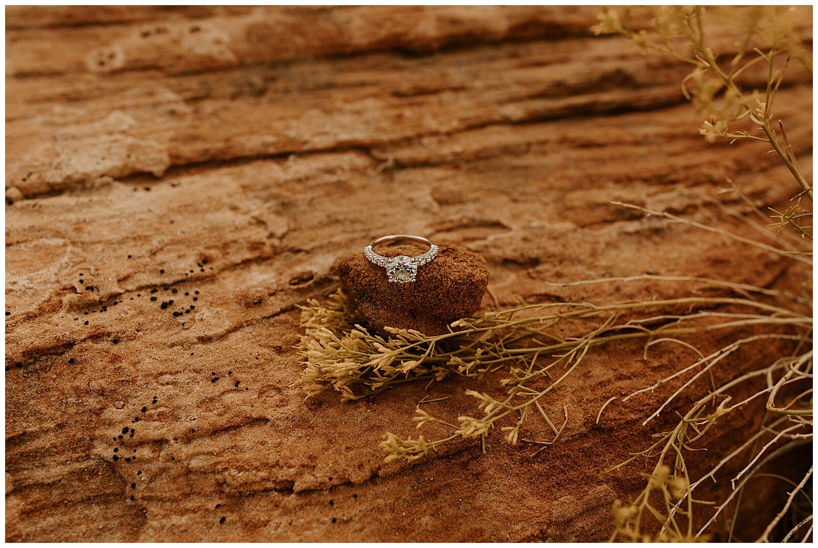 Horseshoe Bend Engagement Session - Erika Greene Photography - Arizona Elopement Photographer_0027.jpg