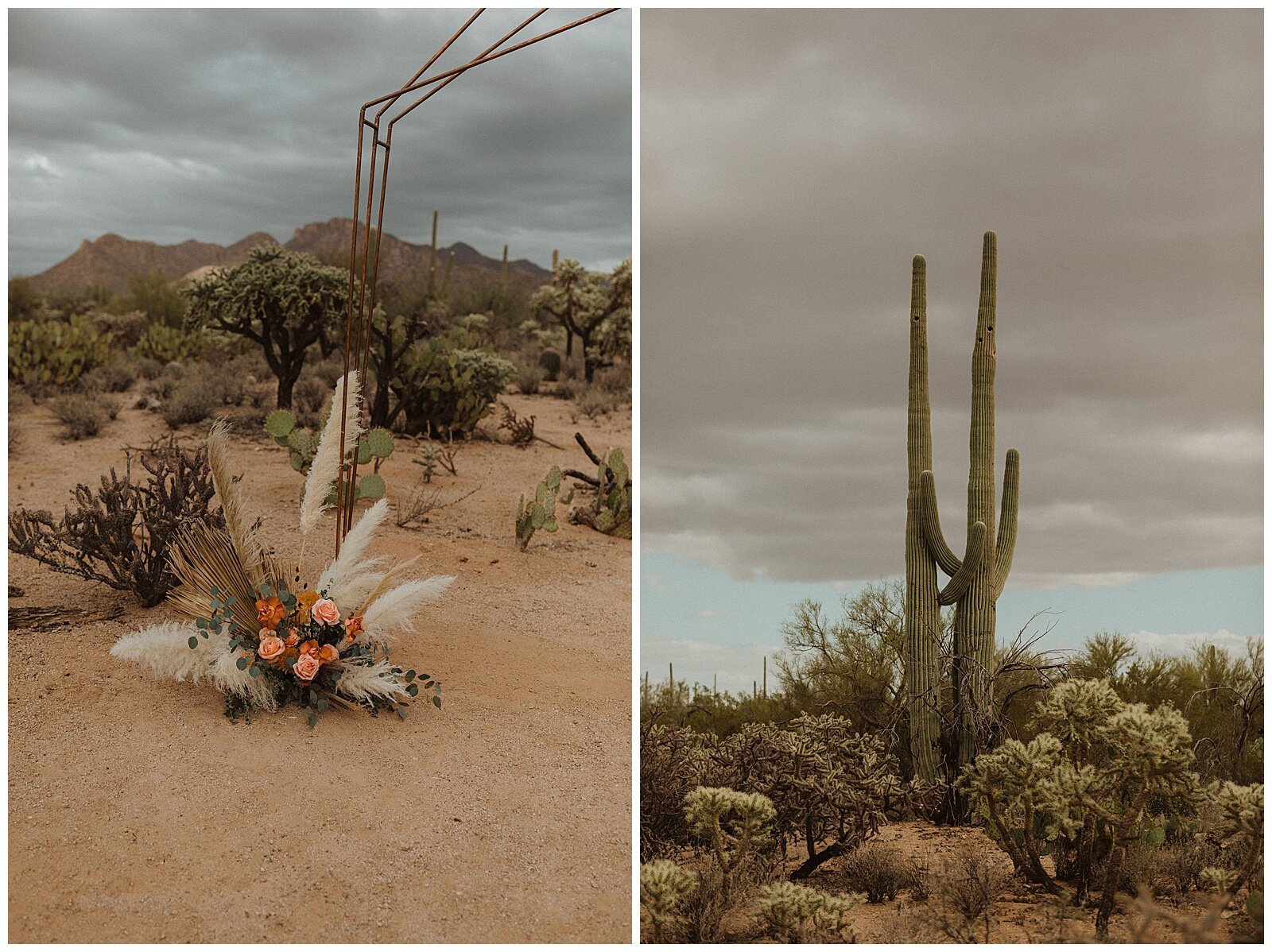 La Posada Saguaro National Park Wedding - Erika Greene Photography - Arizona Elopement Photographer_0017.jpg