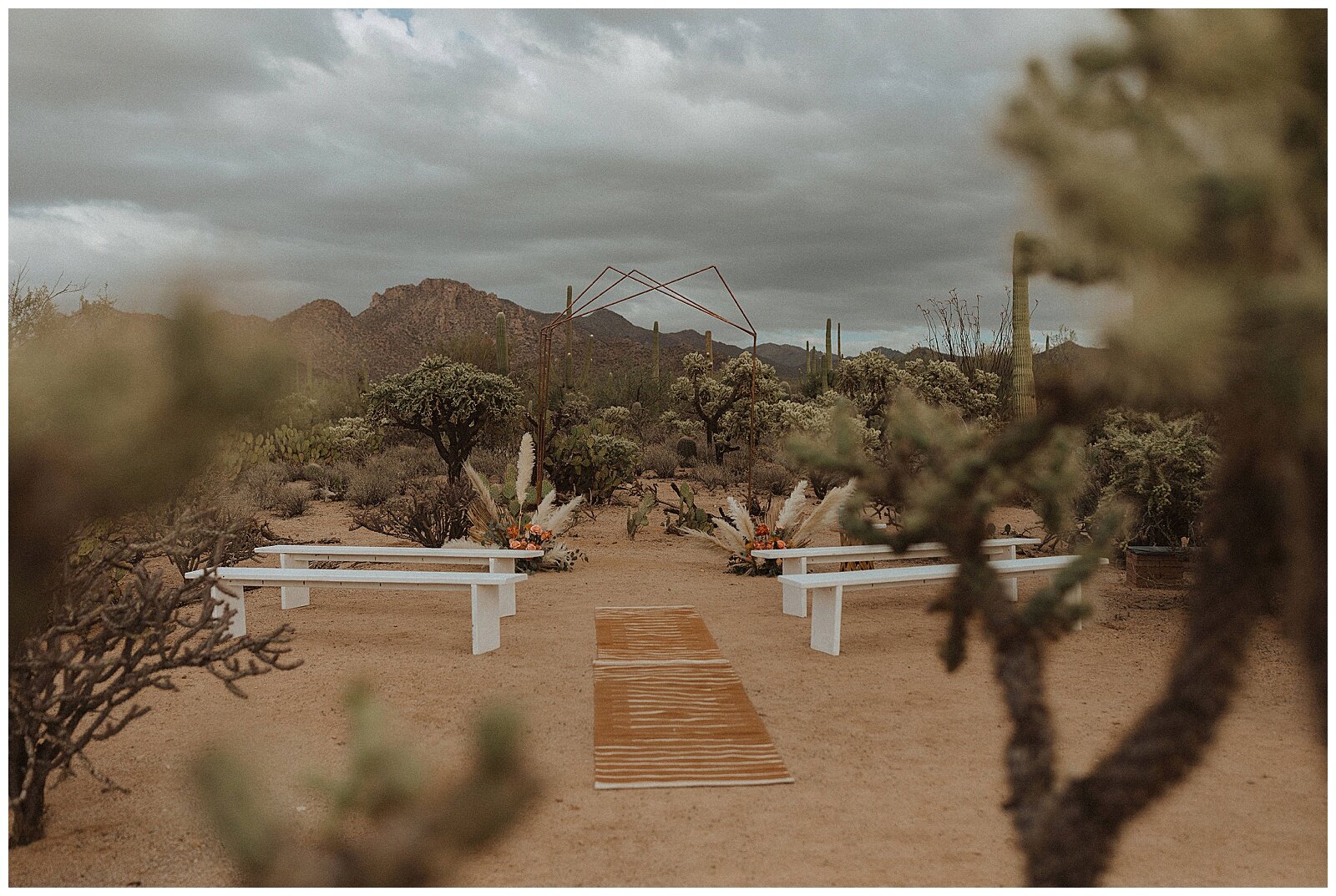 La Posada Saguaro National Park Wedding - Erika Greene Photography - Arizona Elopement Photographer_0019.jpg