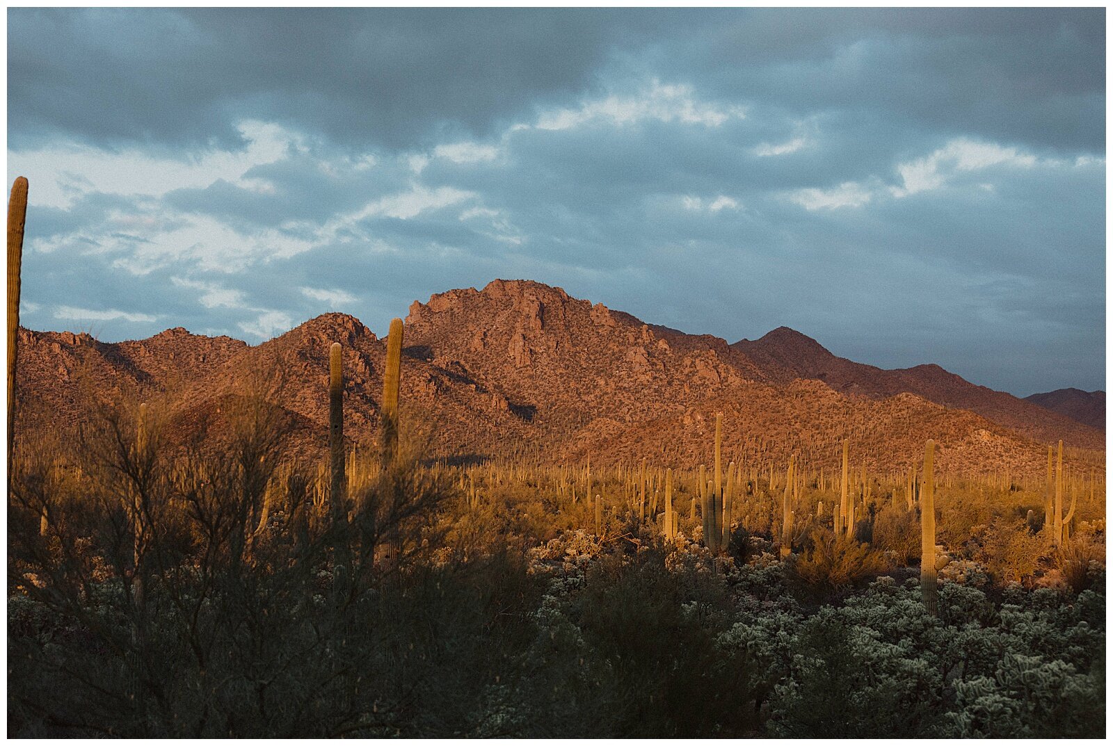 La Posada Saguaro National Park Wedding - Erika Greene Photography - Arizona Elopement Photographer_0059.jpg