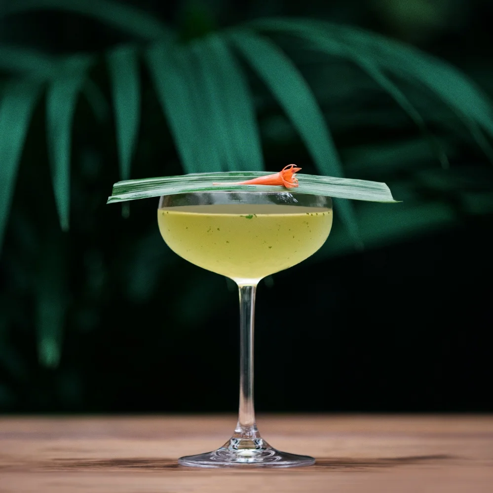 PHOTO 4 - en dessous de photo 3.jpg