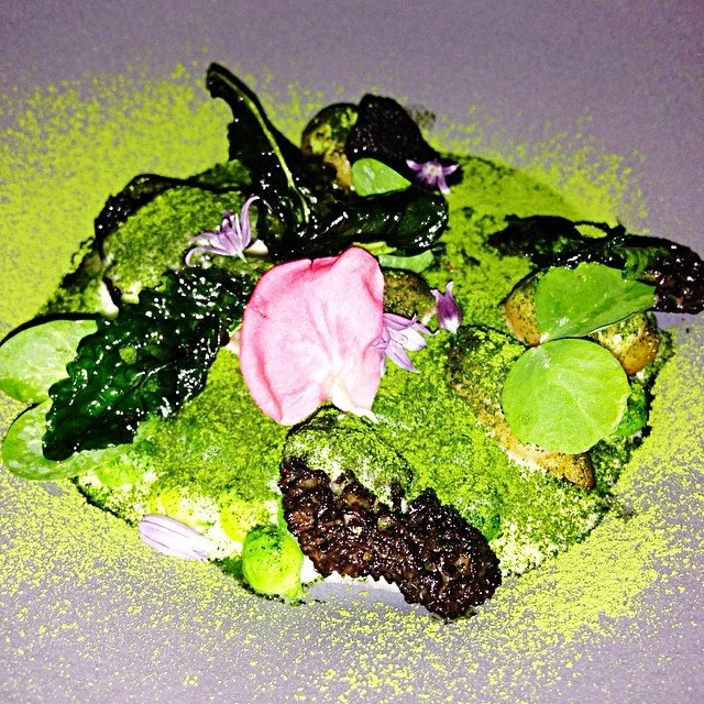 Sous Vides Potatoes and Morel Mushrooms with powdered herbs sprinkled atop. And there's no filter on this photo. #lazybearsf