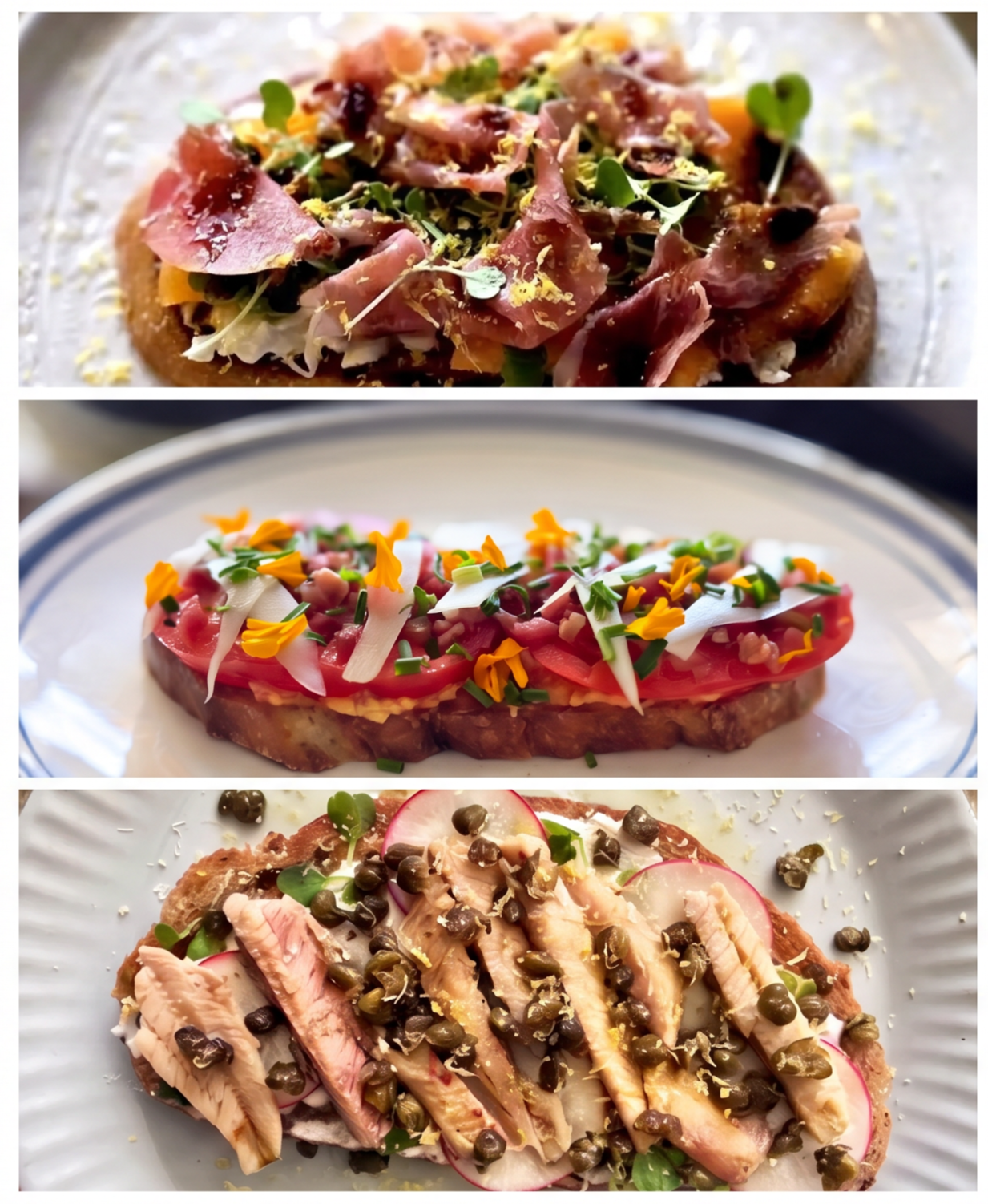 Delecticious Gourmet Toasts Collection