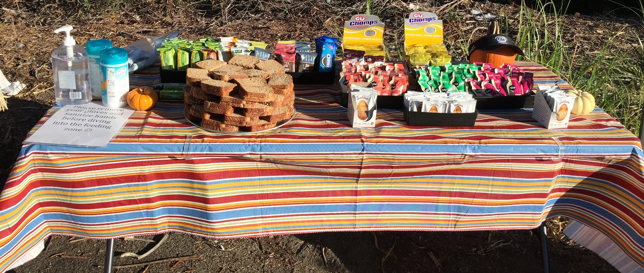 Awesome rest stops loaded with home made cakes, treats, fruit and sandwiches etc